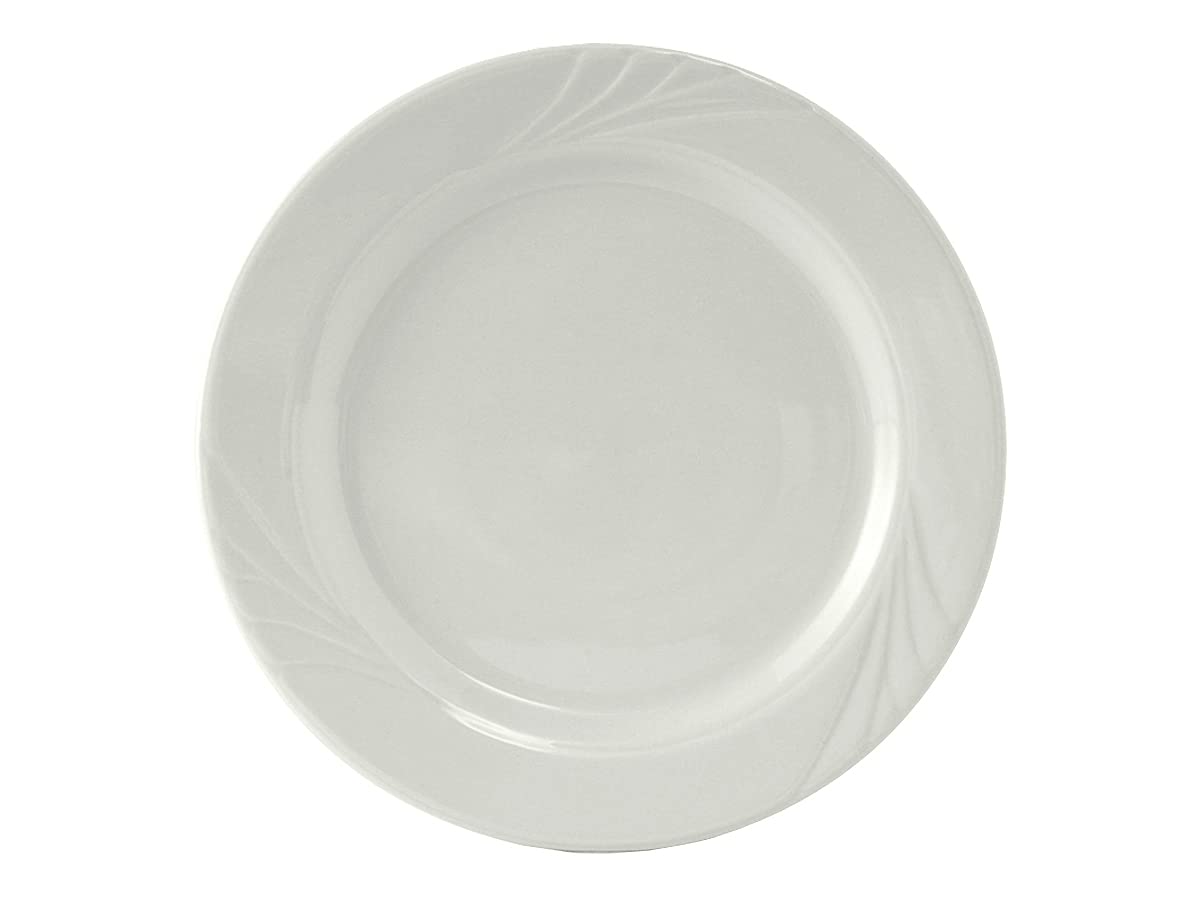 Premium Tuxton China YPA-102 Porcelain White Dinner Plates - 10.25
