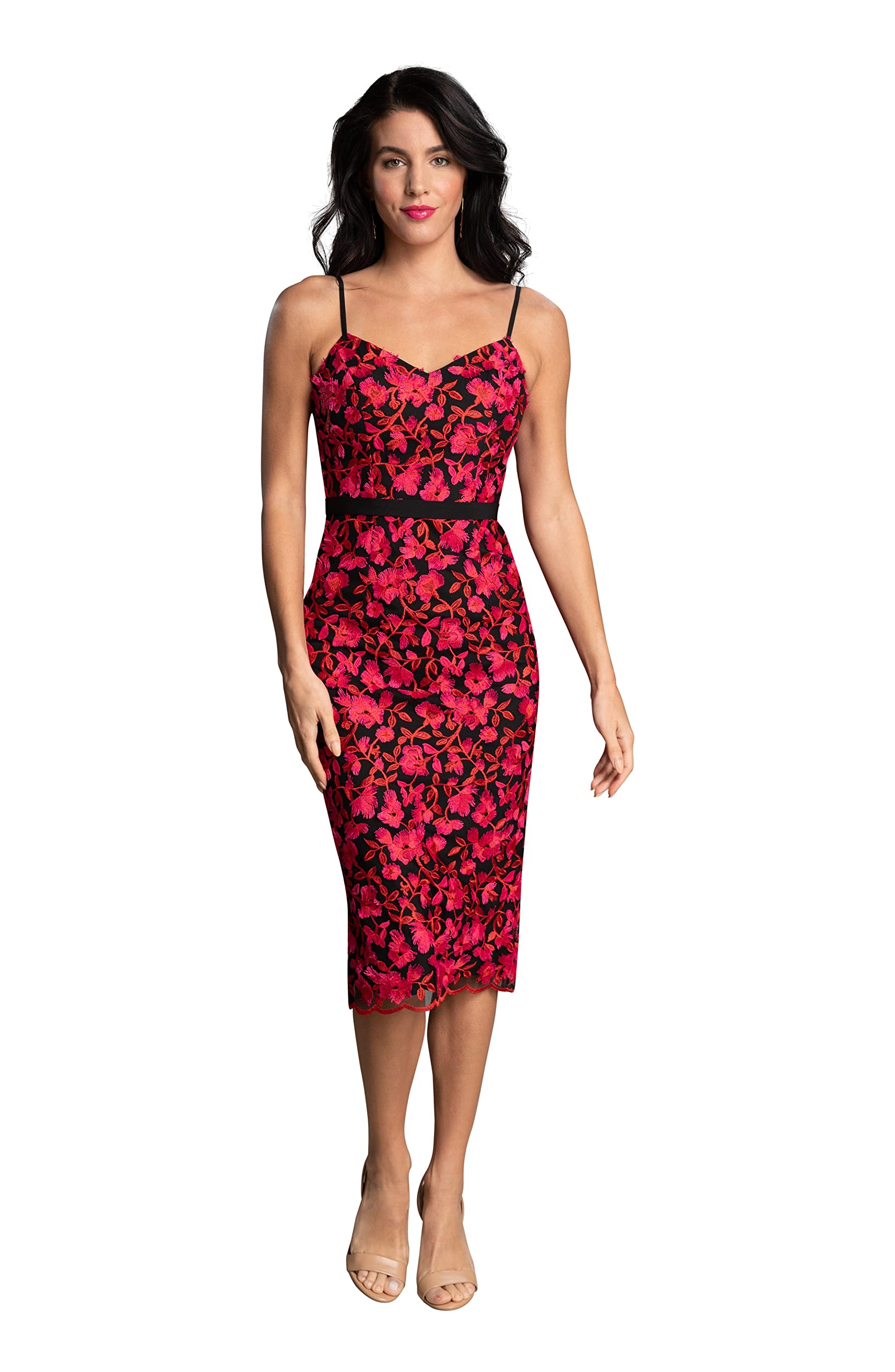 Dress the Population Women's Emma V-Neck Embroidered Sleeveless Belted Midi Dress - Elegant Party & Wedding Guest Outfit for Special Occasions