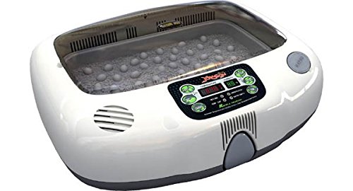 Premium RCOM JURAGON MX R90 Digital Reptile Egg Incubator - Professional Temperature & Humidity Control for Snake, Lizard, Turtle Eggs - Perfect for Breeders, Zoos & Reptile Enthusiasts