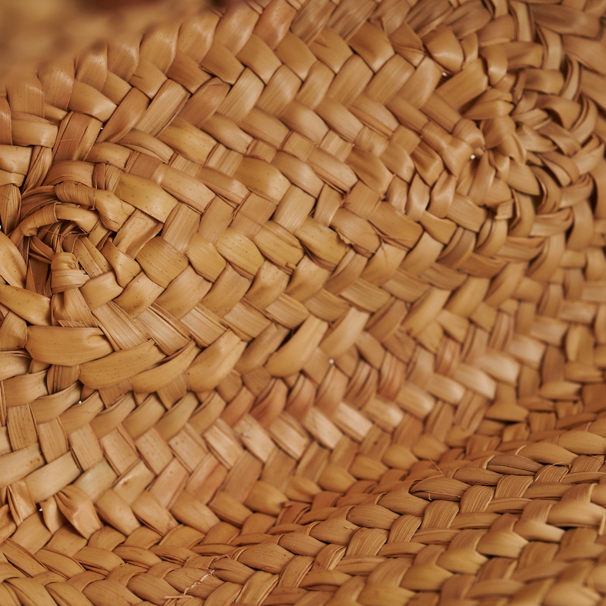 Celine Raffia Basket Bag - Stylish Woven Straw Handbag for Women | Perfect for Beach, Summer Outfits & Casual Chic Looks