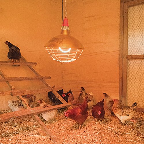 Premium 1200W High-Efficiency Carbon Fiber Poultry & Livestock Heater with Safety Switch - Ideal for Chicken Coops, Barns & Animal Shelters (Energy Saving Farm Heating Solution)