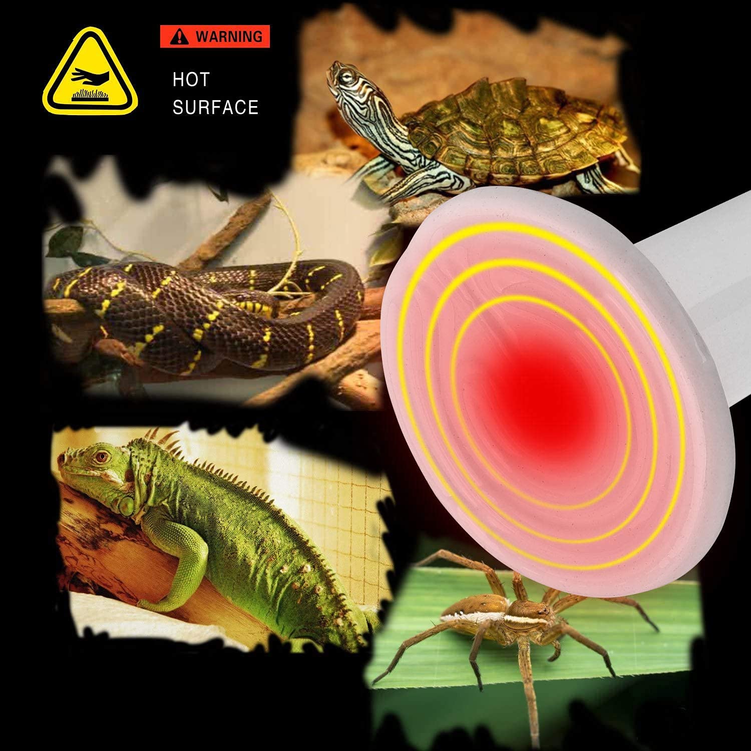 OMAYKEY 2 Pack 75W Ceramic Heat Emitter Bulb - ETL Certified Reptile Heat Lamp for Lizards, Turtles, Snakes, Amphibians & Chicken Brooders - No Light Emission, Safe for Night Use - Perfect for Terrariums, Aquariums & Coops