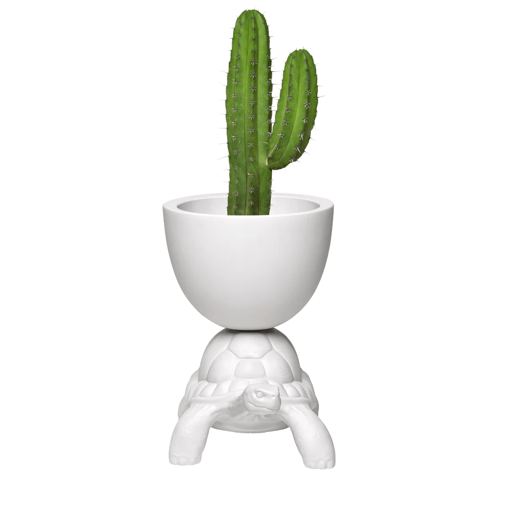 Qeeboo Turtle-Shaped Planter & Champagne Cooler - Unique Home Decor & Party Accessory for Indoor/Outdoor Use