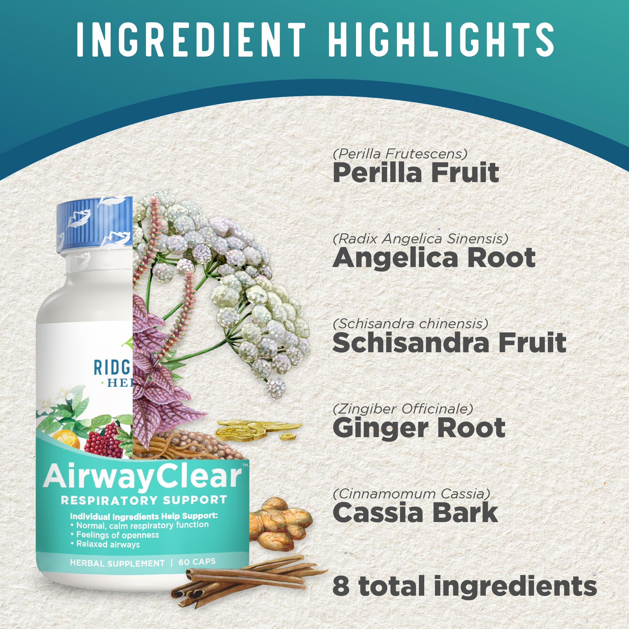 Ridgecrest Herbals AirwayClear - Natural Lung Health & Breathing Support Supplement with Schisandra Fruit, Cassia Bark & Ginger Root - Sinus & Mucus Relief - Gluten Free Vegan Capsules (60 Count, 30 Servings) - Ideal for Respiratory Support, Allergy Season & Cold Weather Wellness