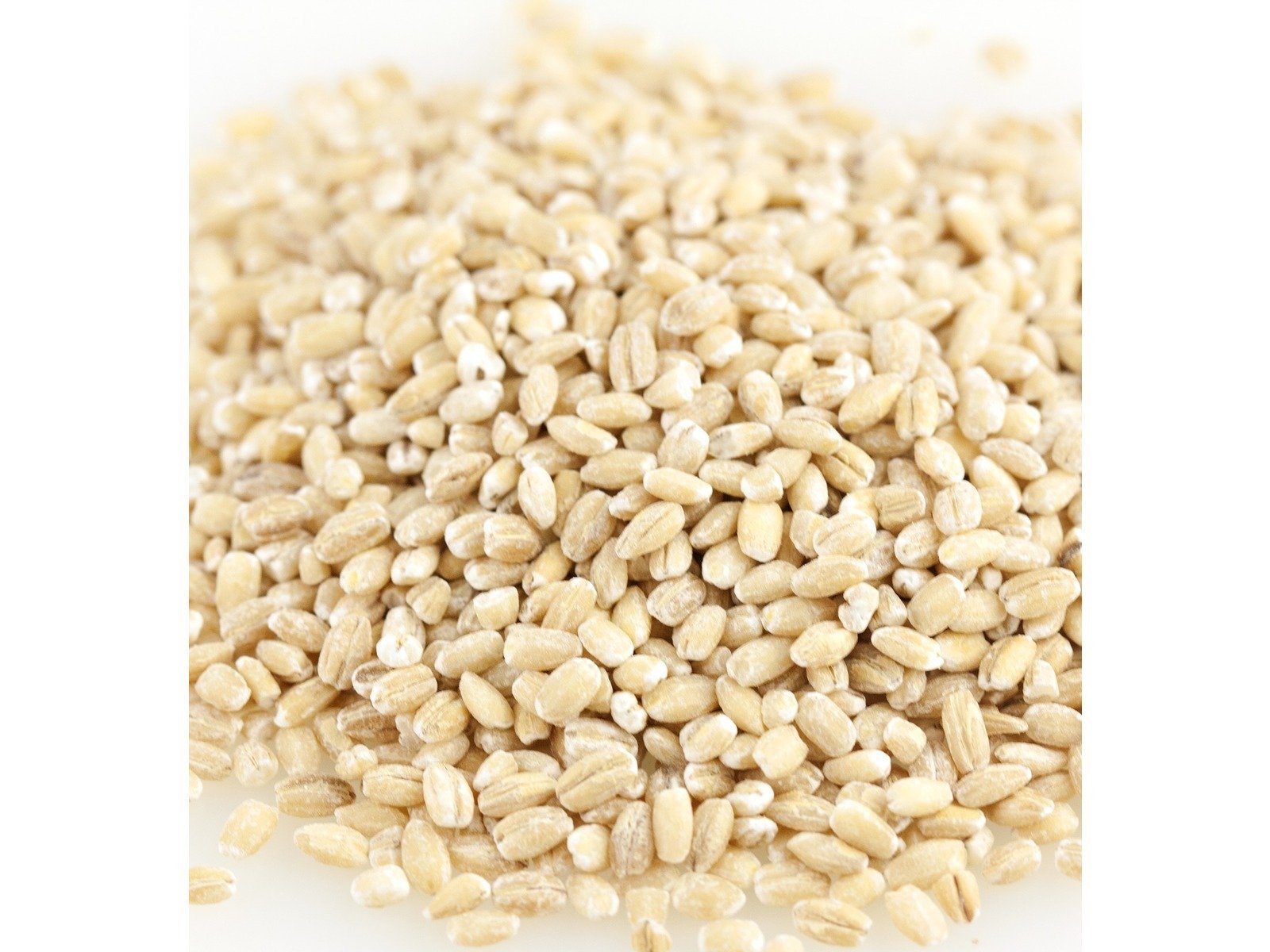 Organic Hulled Barley in Bulk - 25 Pound Bag | Non-GMO, Whole Grain for Cooking, Baking & Healthy Recipes | Perfect for Soups, Stews & Home Brewing