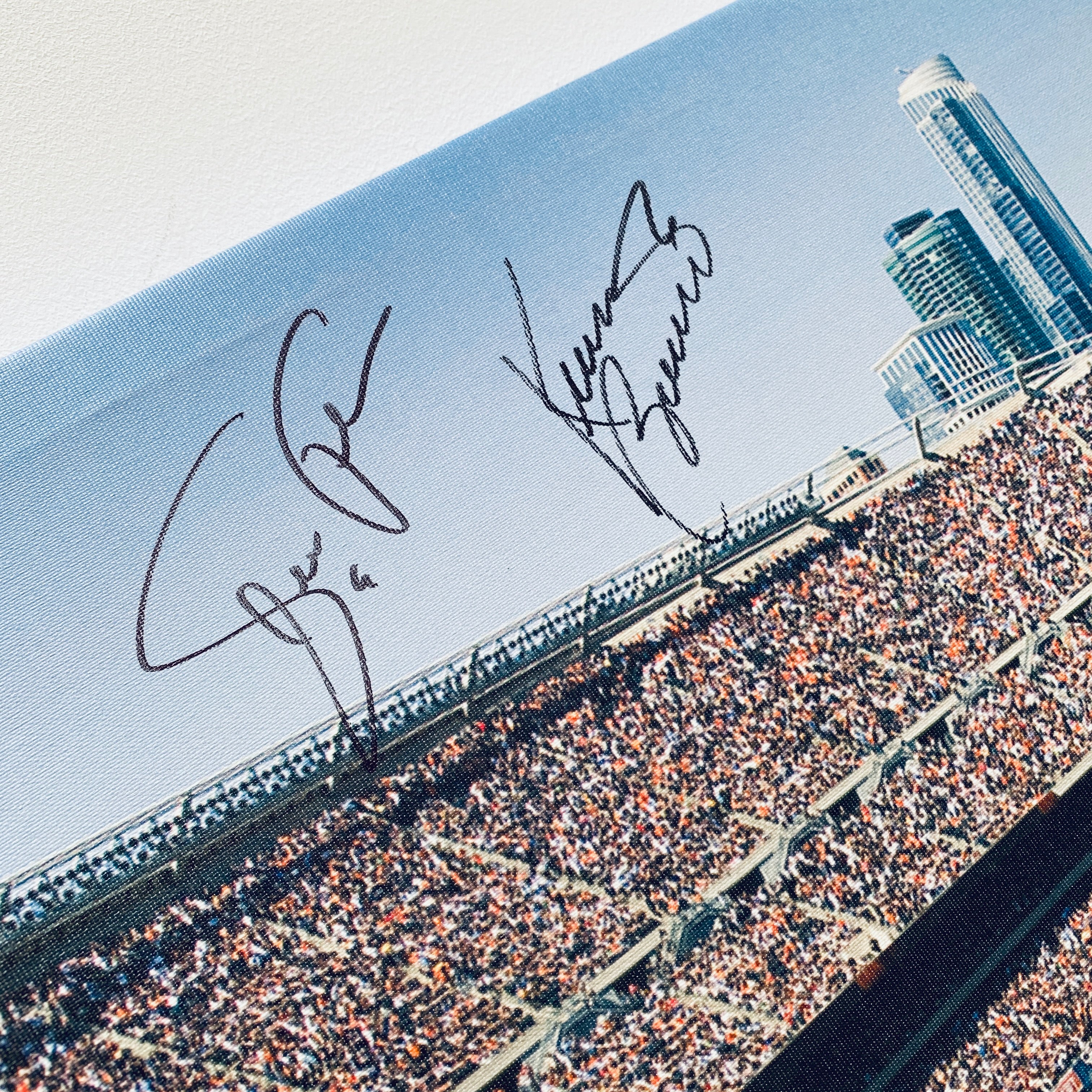 Chicago Bears 1985 Super Bowl XX Championship Team Signed Soldier Field Print - Authentic Collectible Memorabilia for NFL Fans & Sports Enthusiasts | Perfect for Man Cave, Game Room, or Office Decor