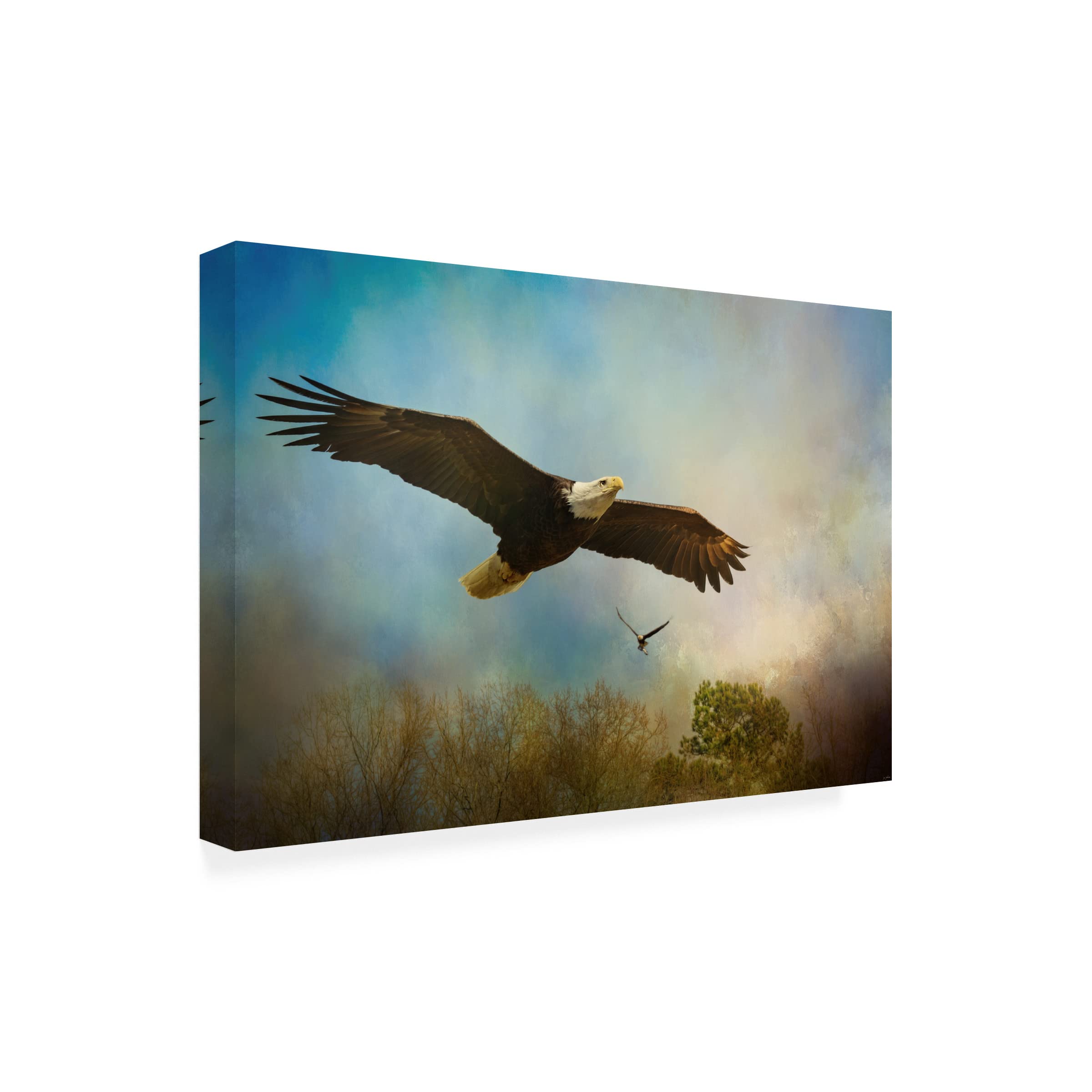 Trademark Fine Art 'Twice The Power' Canvas Wall Art by Jai Johnson - 30x47 Inches, Modern Home Decor for Living Room, Bedroom & Office