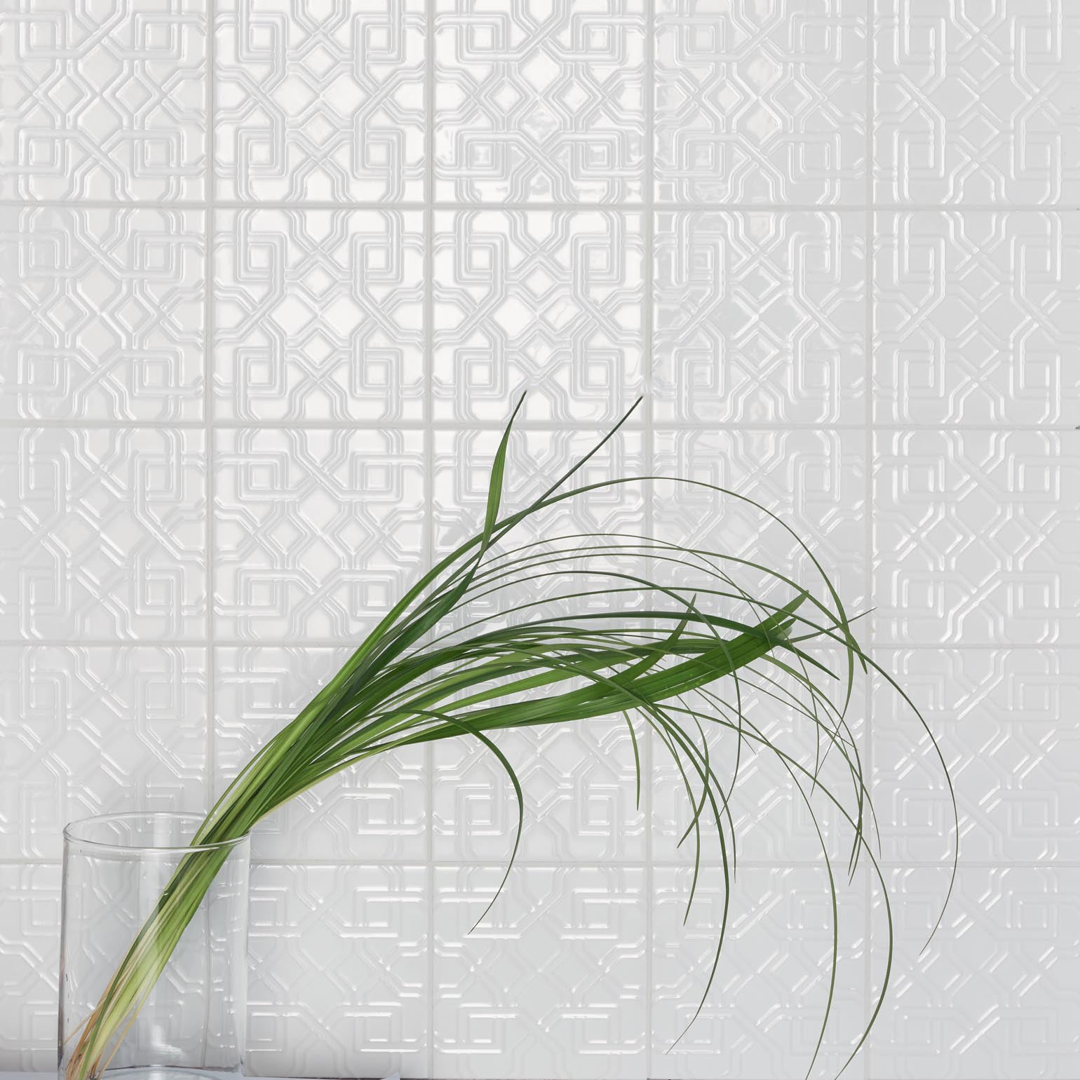 Bianco White