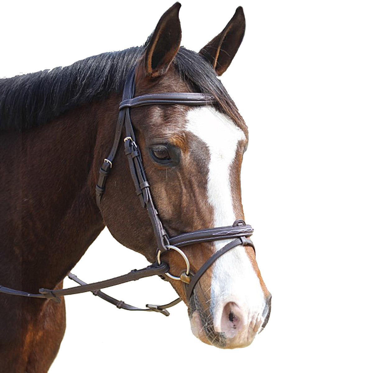 Premium HDR Kushy Bridle with Detachable Flash - High Definition Comfort for Equestrian Riding & Photography - Perfect for Trail Rides, Shows, and Outdoor Adventures