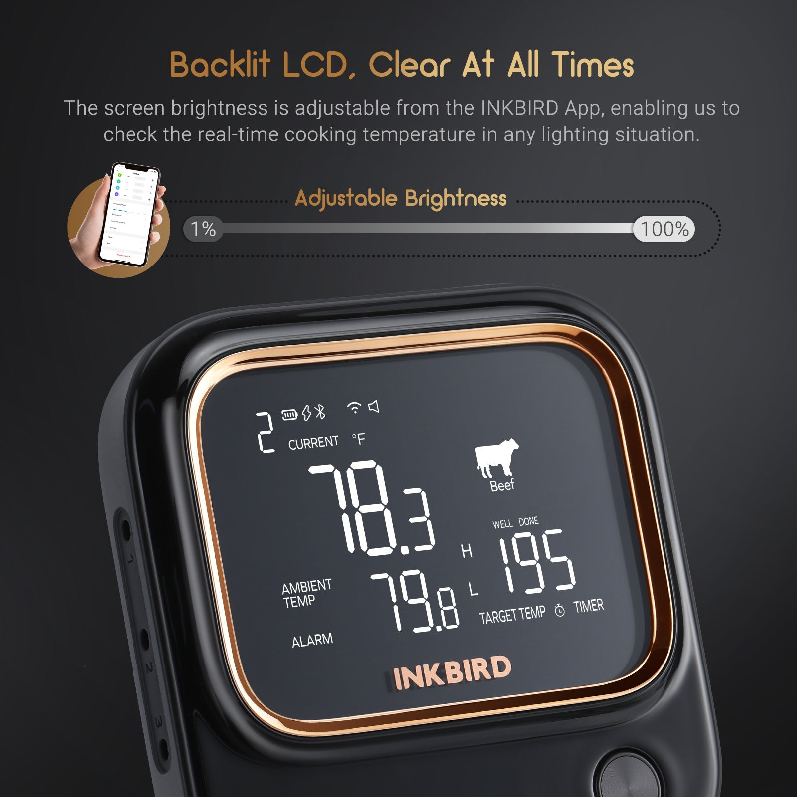 Wireless BBQ Thermometer IBT-26S with WiFi & Bluetooth - Smart Meat Temperature Probe for Grilling, Smoking, and Cooking Steak, Chicken, Pork - Perfect for Outdoor Backyard, Camping, and Kitchen Use