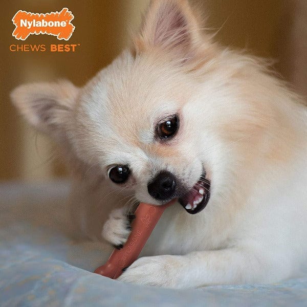 Nylabone DuraChew Bacon Flavored Dog Chew Toy - Long-Lasting Dental Chew for Medium to Large Dogs - Perfect for Aggressive Chewers & Teething Puppies
