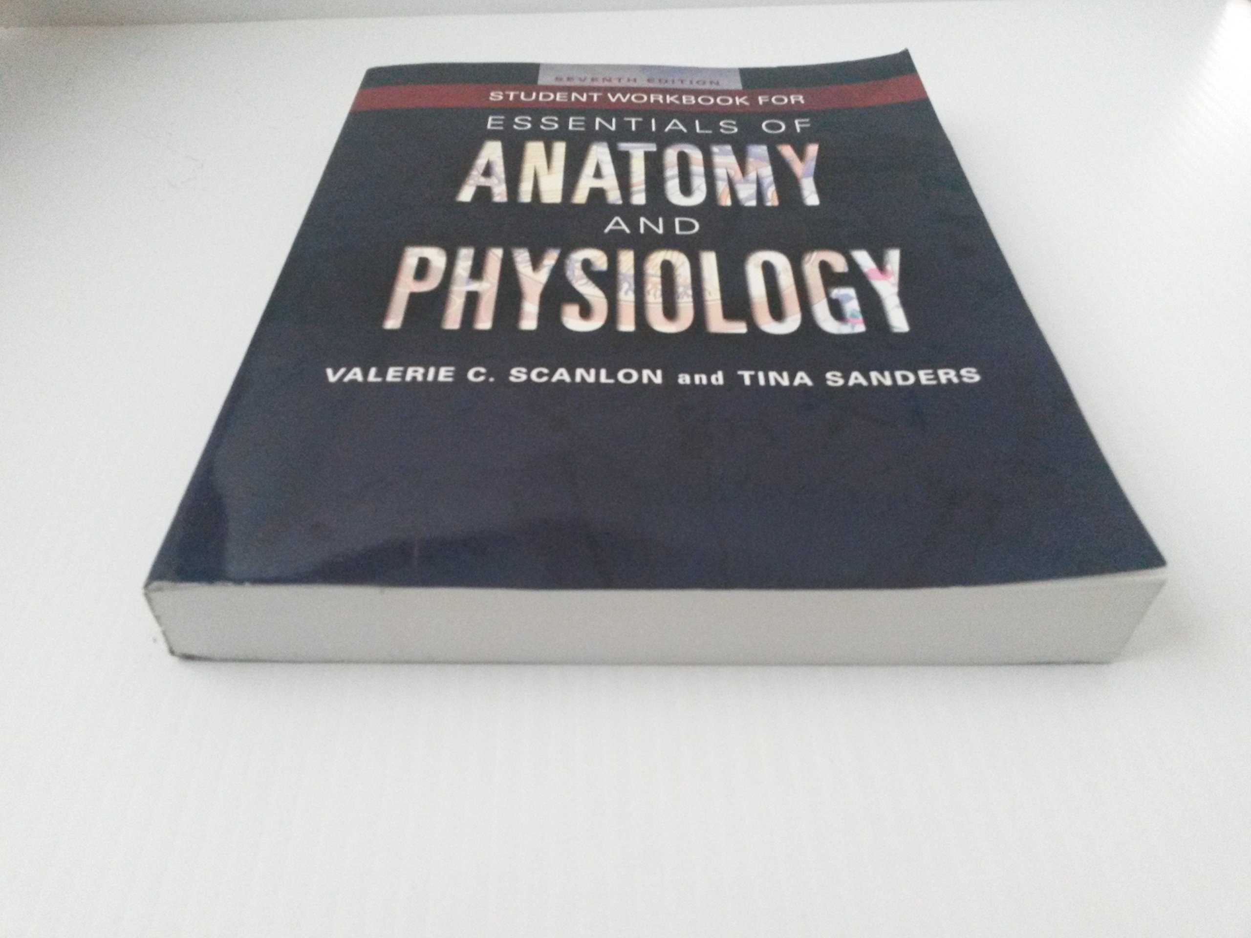 Anatomy and Physiology Student Workbook - Essential Study Guide for Medical & Nursing Students | Perfect for Exam Prep & Classroom Use