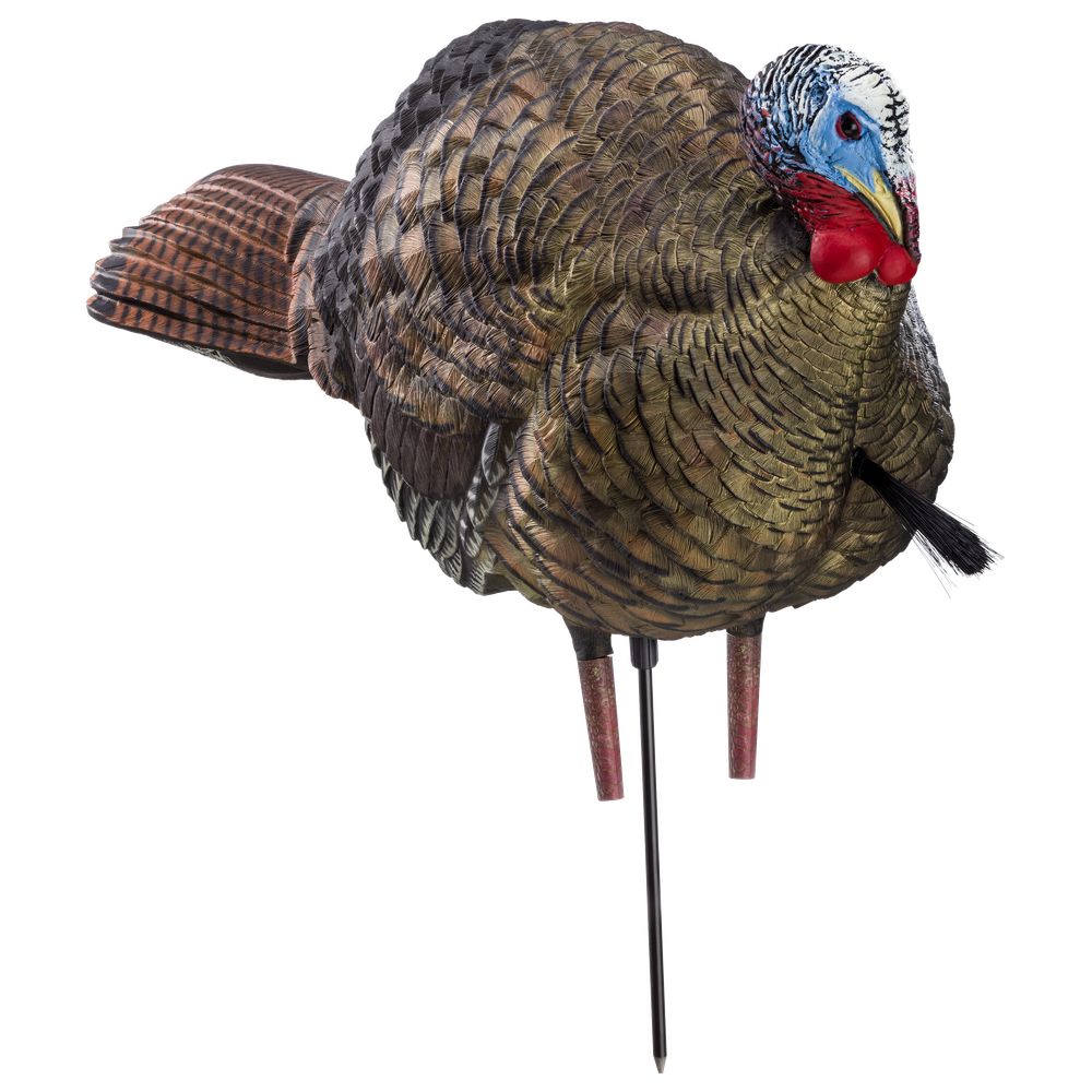 Avian X AVX8012 LCD Half Strut Jake Turkey Hunting Decoy - Realistic Turkey Decoy for Spring Hunting, Perfect for Bowhunters & Turkey Hunters in Wooded Areas