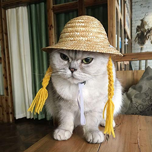 Cute Pet Straw Sombrero Hat - Sun Cap with Braid for Small Dogs & Cats - Yellow Sun Bucket Cap for Birthday Party & Outdoor Play