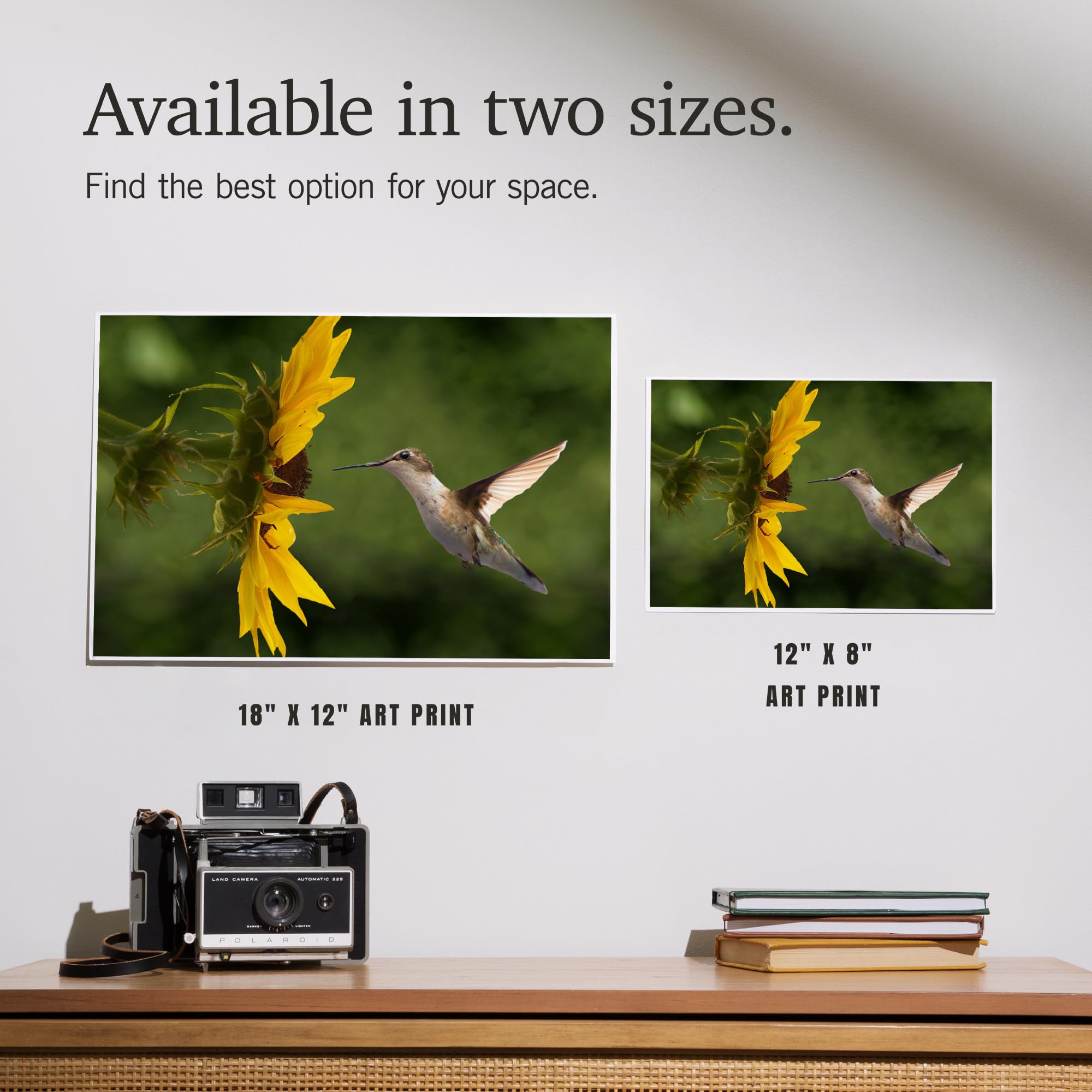 Lantern Press 12x18 Inch Hummingbird Art Print - Vibrant Wall Decor for Living Room, Bedroom & Office - Nature Inspired Home Decoration