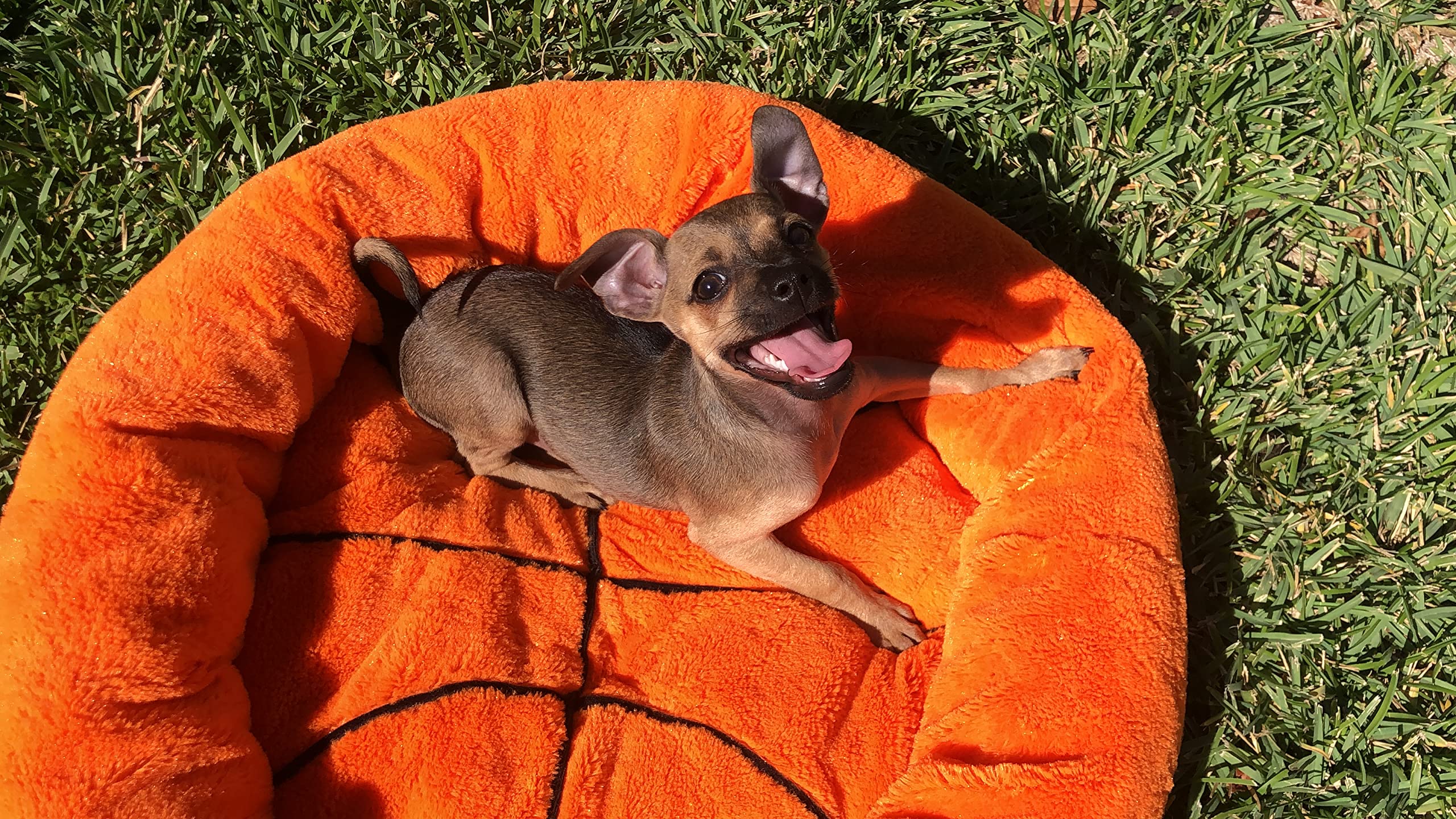 TONBO Soft Plush Small Cute Cozy Basketball Pet Bed for Dogs & Cats - Washable & Dryer Safe - Perfect for Puppy Beds, Kitty Naps & Pet Lounging