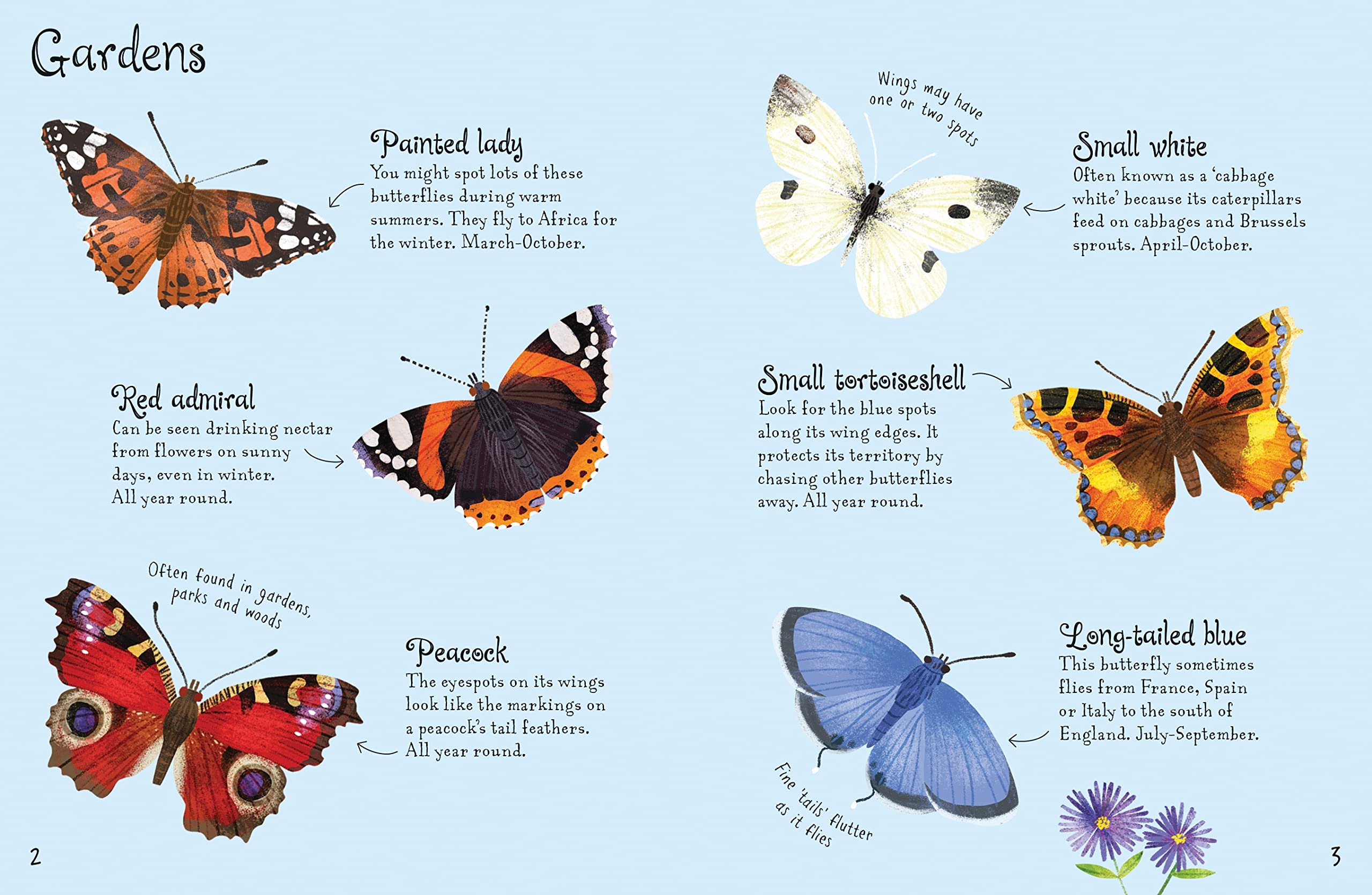 Butterflies to Spot (Usborne Mini Books): 1 (Usborne Minis) - Compact Field Guide for Butterfly Watching, Nature Exploration & Outdoor Activities