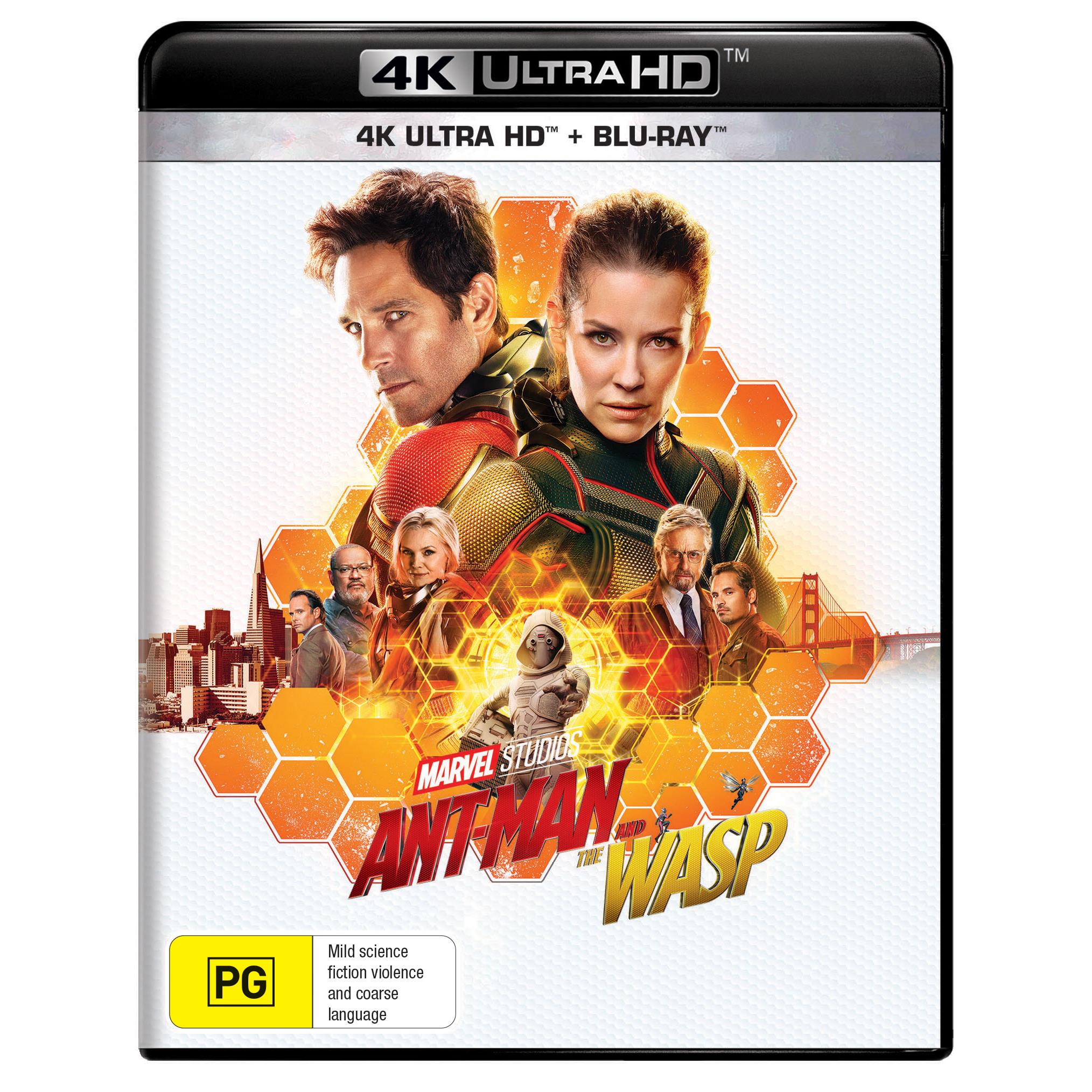 Ant-Man & The Wasp Marvel Action Figures - Collectible Superhero Toys for Kids & Adults | Perfect for Display, Gifts, and Marvel Movie Fans