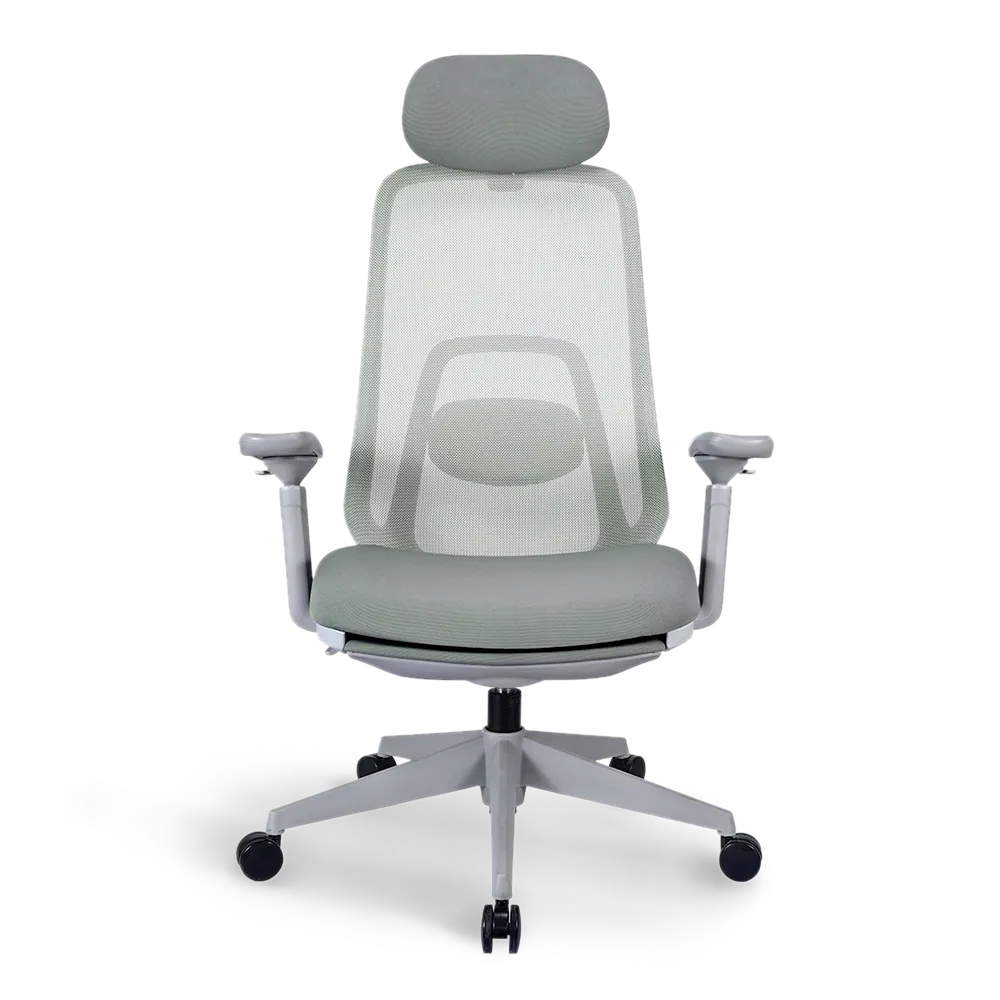 Pluto Ergonomic Office Chair - Adjustable Lumbar Support & Breathable Mesh Back - Perfect for Home Office, Gaming & Workspace