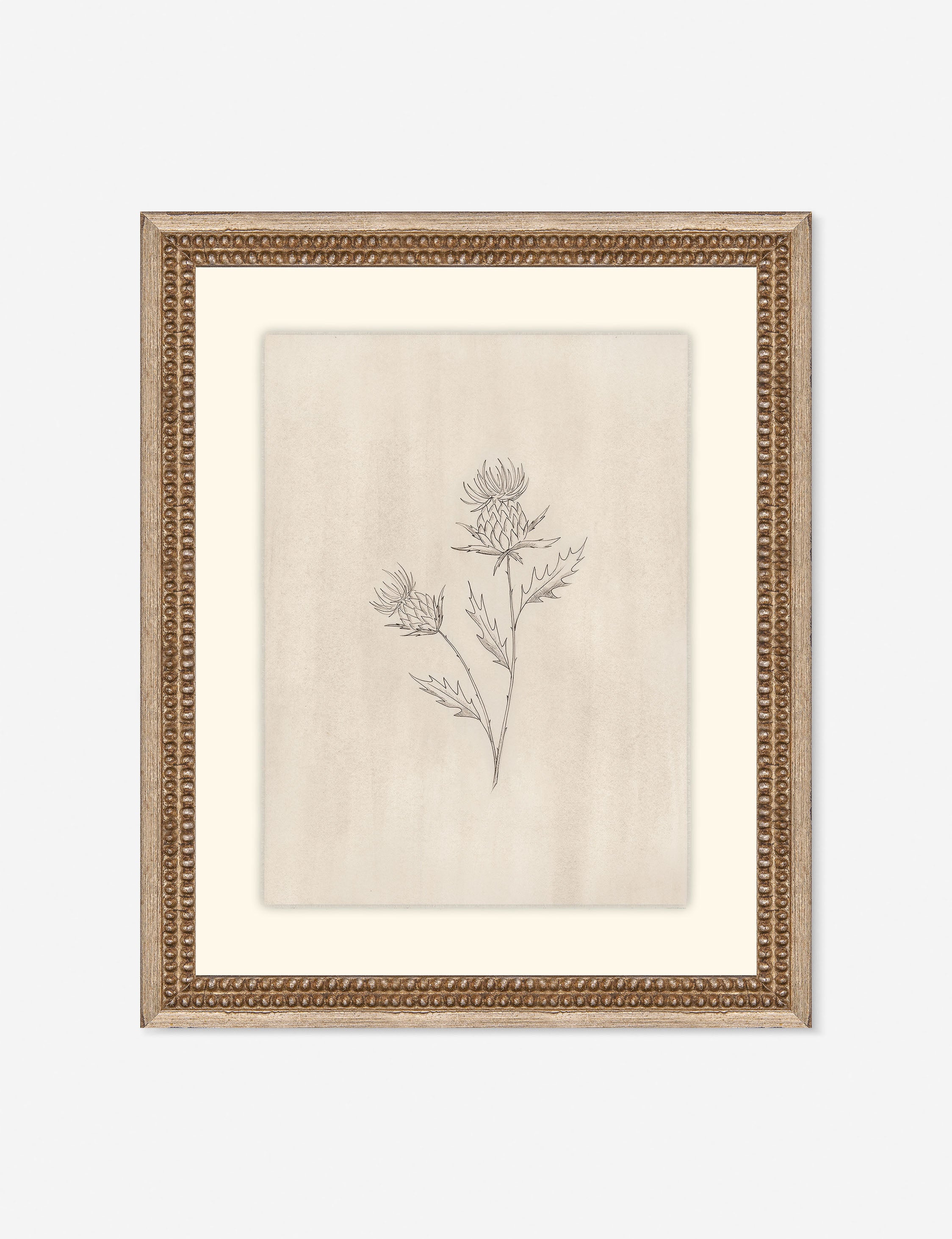 Elegant Botanical V Wall Art by Makai Howell - Nature-Inspired Home Decor for Living Room, Bedroom & Office - Perfect for Boho, Farmhouse & Modern Interior Design Styles