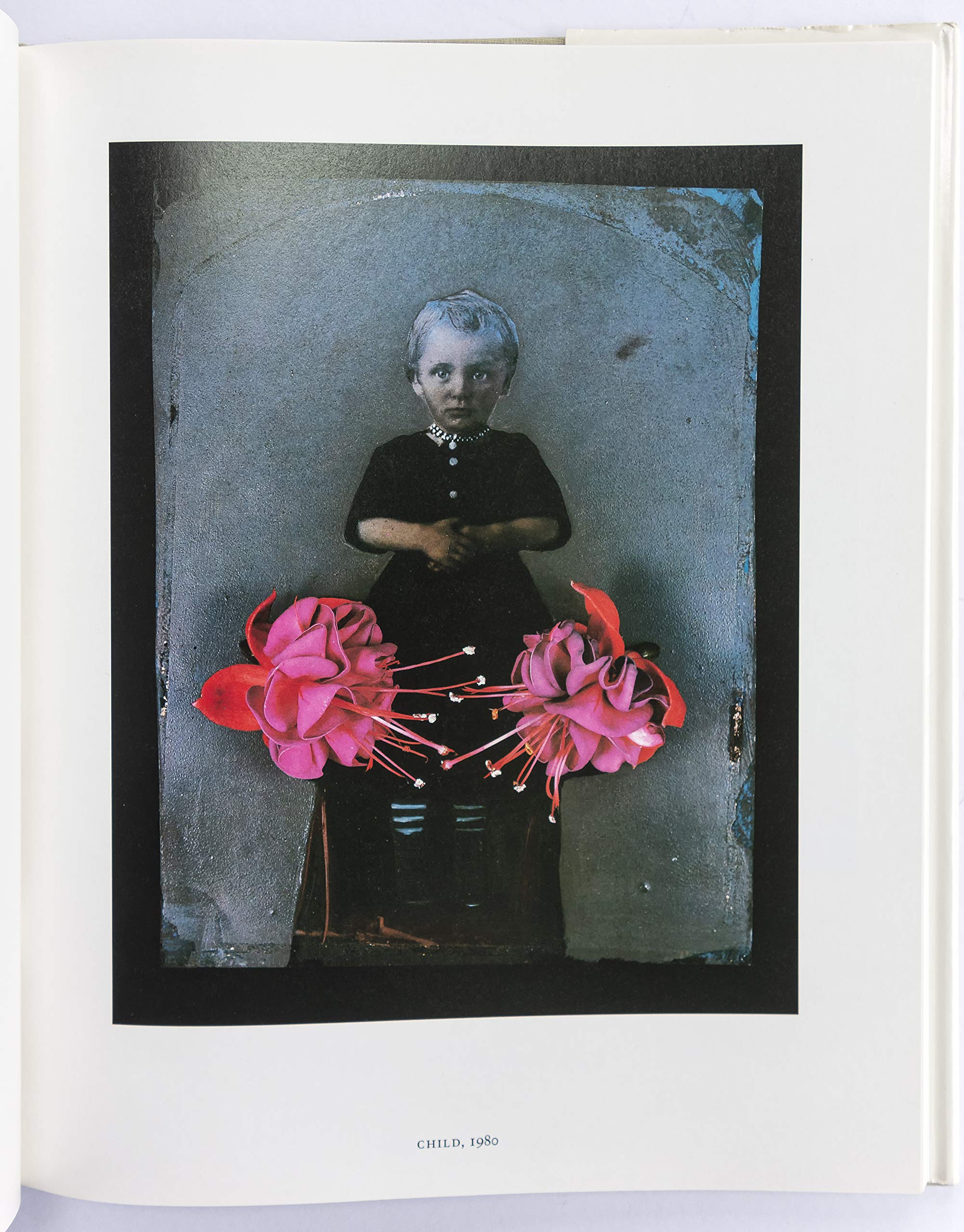 Under the Looking Glass - A New York Graphic Society Book | Art Book for Home Decor & Gift Ideas