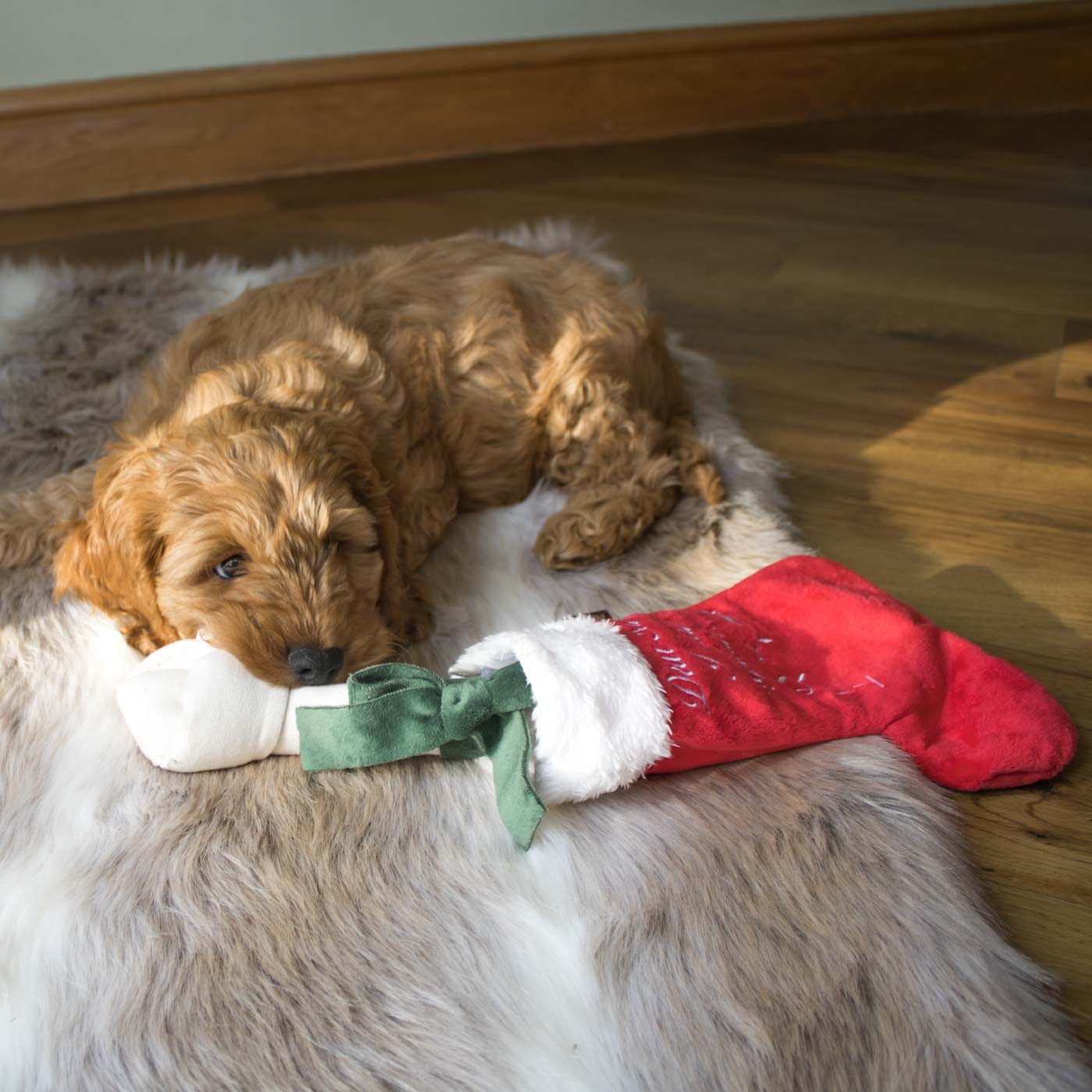 P.L.A.Y. Merry Woofmas Christmas Dog Stocking for Pets - Festive Holiday Pet Gift for Dogs, Puppies & Good Boys - Perfect for Christmas Decorations & Pet Stocking Stuffers