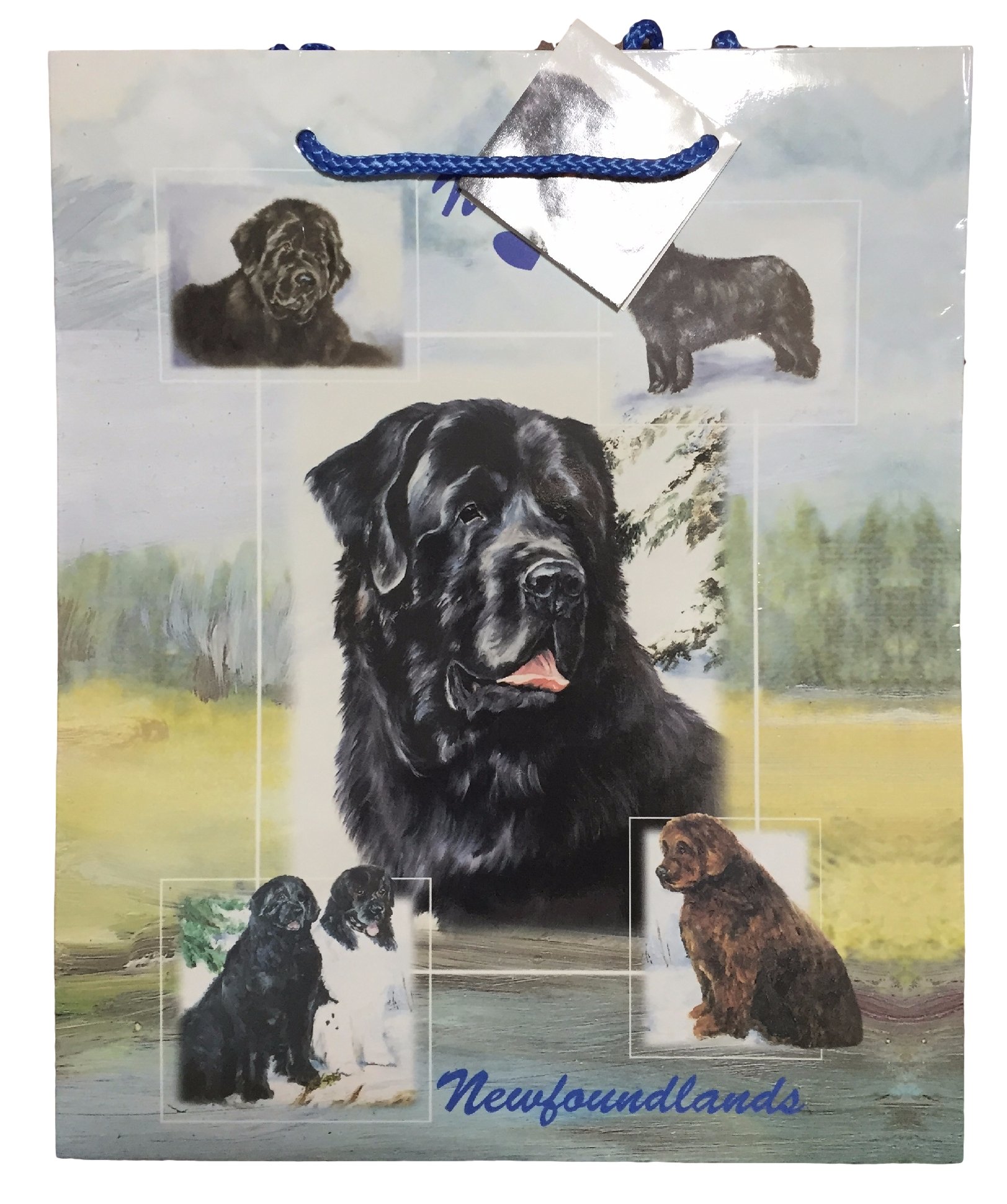 Premium Dog Breed Gift Bags Set of 2 with Tissue Paper - Newfoundland Themed | Perfect for Dog Lovers, Birthday Parties & Pet Adoption Celebrations