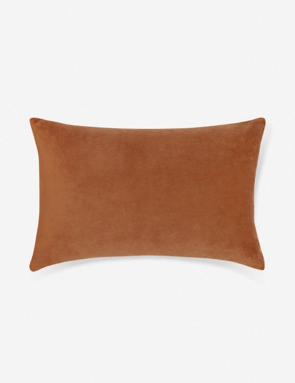 Charlotte Velvet Pillow - Soft Luxury Decorative Throw Pillow for Sofa, Bed & Couch - Perfect for Living Room, Bedroom & Home Decor