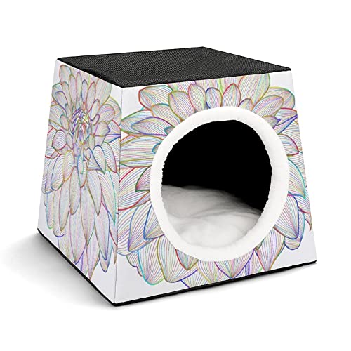 Color2