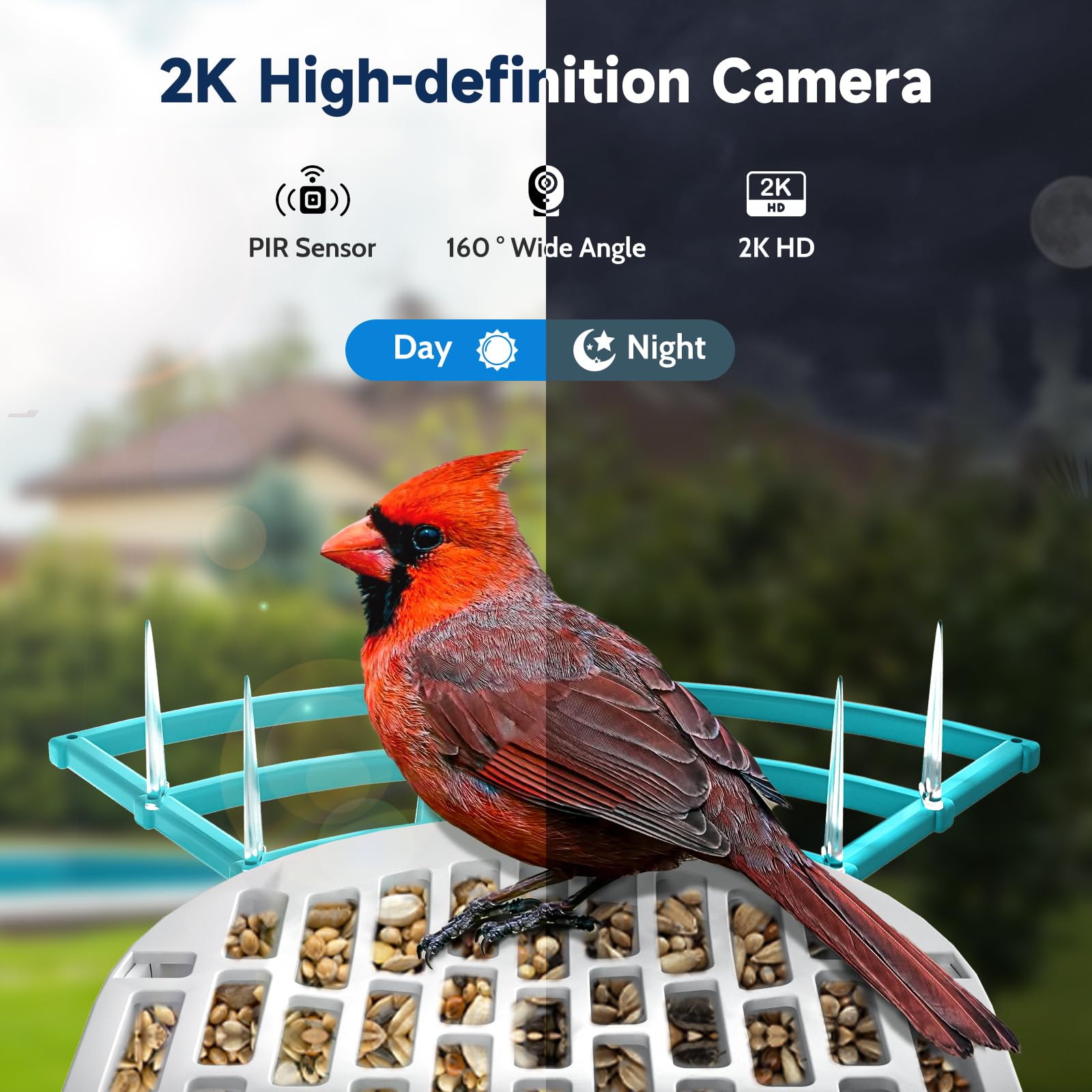 Smart Bird Feeder with HD Camera & Solar Panel - Outdoor Squirrel-Proof Bird Feeder with AI Bird Identification - Perfect Gift for Bird Lovers (Blue) - Ideal for Backyard Bird Watching & Nature Observation