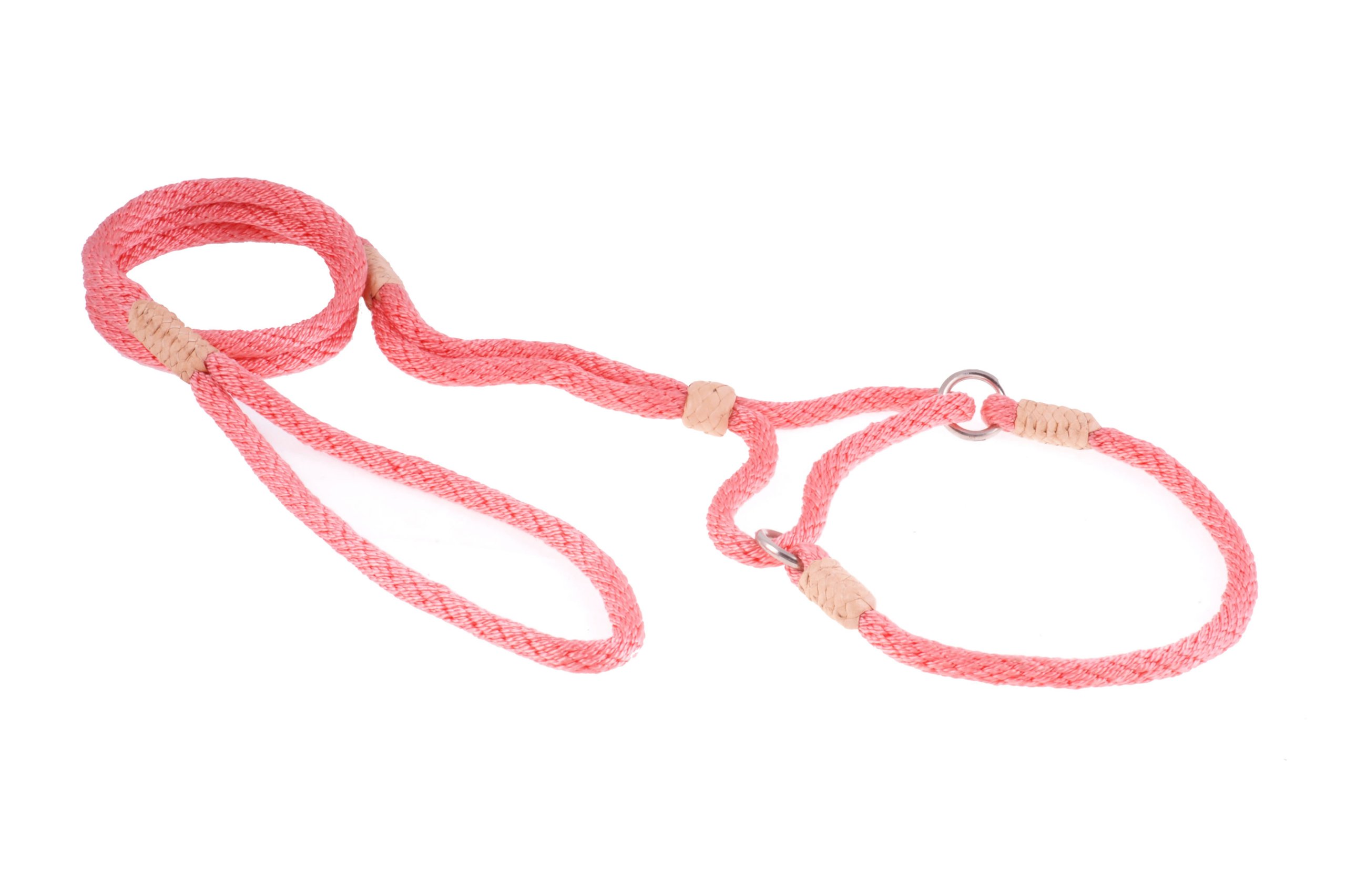 Alvalley Martingale Dog Leash with Collar - Soft Nylon Adjustable Leash for Small & Medium Dogs - Training & Walking Pet Accessories with Tagua Bead Stopper - Perfect for Daily Walks, Obedience Training & Outdoor Adventures
