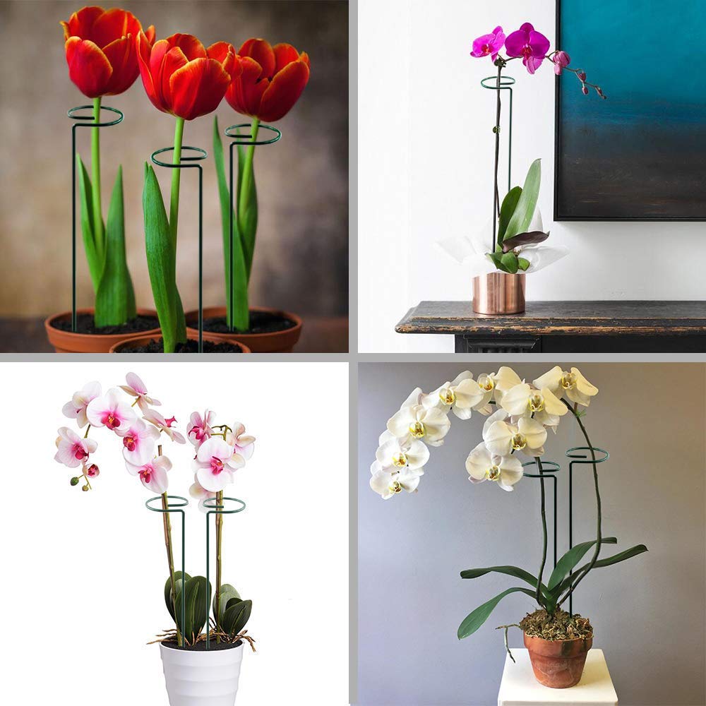 HiGift 5 Pack 17 Inch Garden Stakes - 4mm Thick Plant Support Stakes with 10 Clips for Tomato, Orchid, Lily, Peony & Rose Flowers | Sturdy Single Stem Support for Amaryllis & Other Blooming Plants | Perfect for Outdoor Gardens, Greenhouses & Indoor Potted Plants