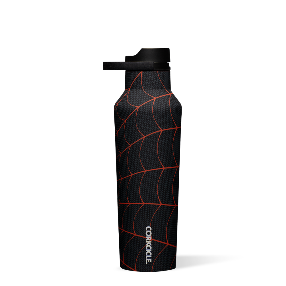 Marvel Superheroes Stainless Steel Sports Water Bottle - Leak Proof & Insulated for Gym, Hiking & Outdoor Adventures