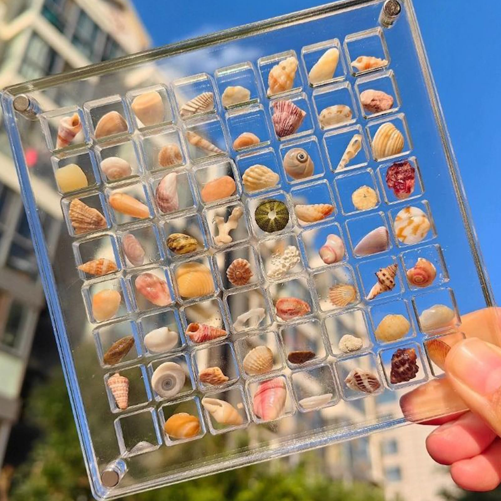 XUYUH Acrylic Magnetic L-Shaped Display Box - Shell Collection & Craft Organizer Storage Box for Small Crafts (Perfect for Jewelry Making, Bead Organizing & DIY Craft Display)