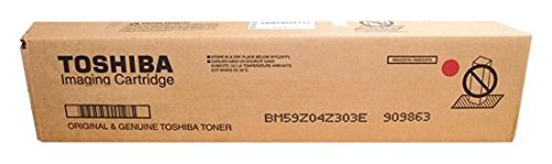 Toshiba TFC65M Flash Drive - High Speed USB for Office & Travel