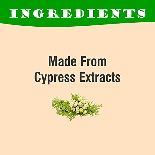 Pure Cypress Essential Oil 15ml - 100% Natural, Undiluted for Massage, Hair Growth, Dandruff Relief & Skin Care | Soothes Acne & Irritation | Perfect for Aromatherapy, DIY Beauty & Home Spa