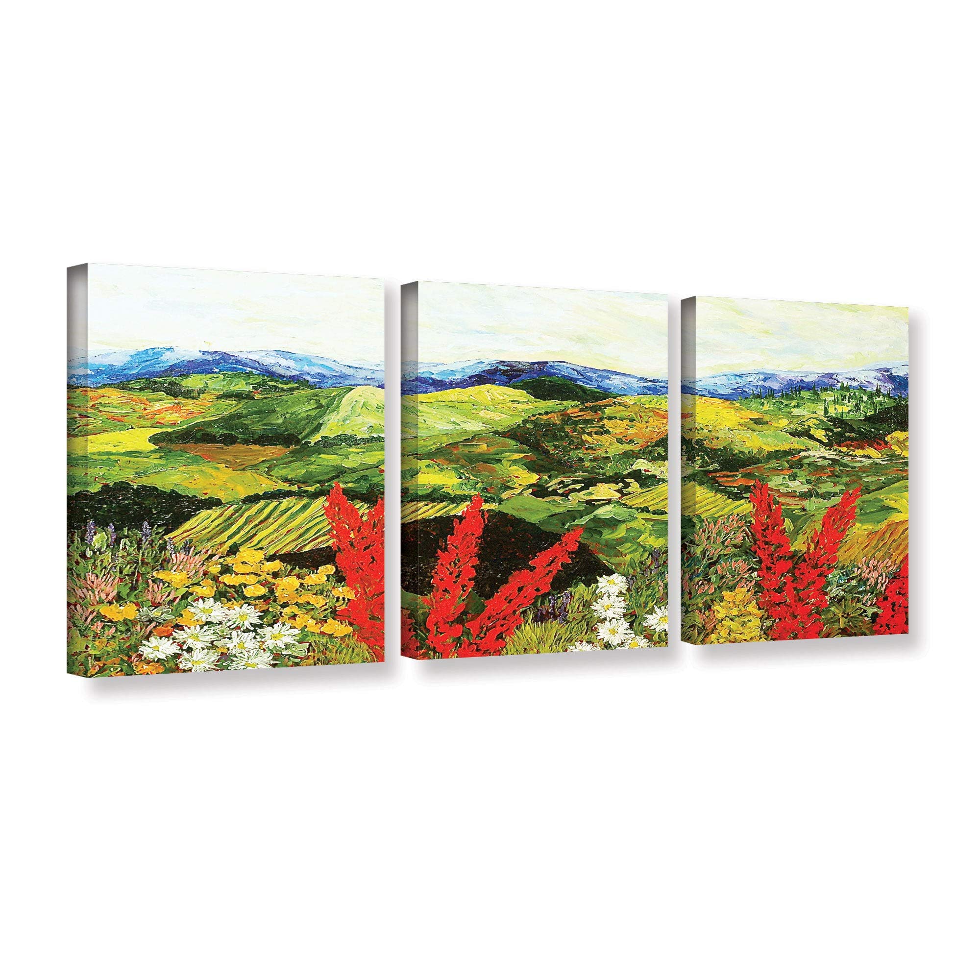 ArtWall Allan Friedlander 'One More Step' 3-Piece Gallery-Wrapped Canvas Wall Art Set - Multi-Color 36