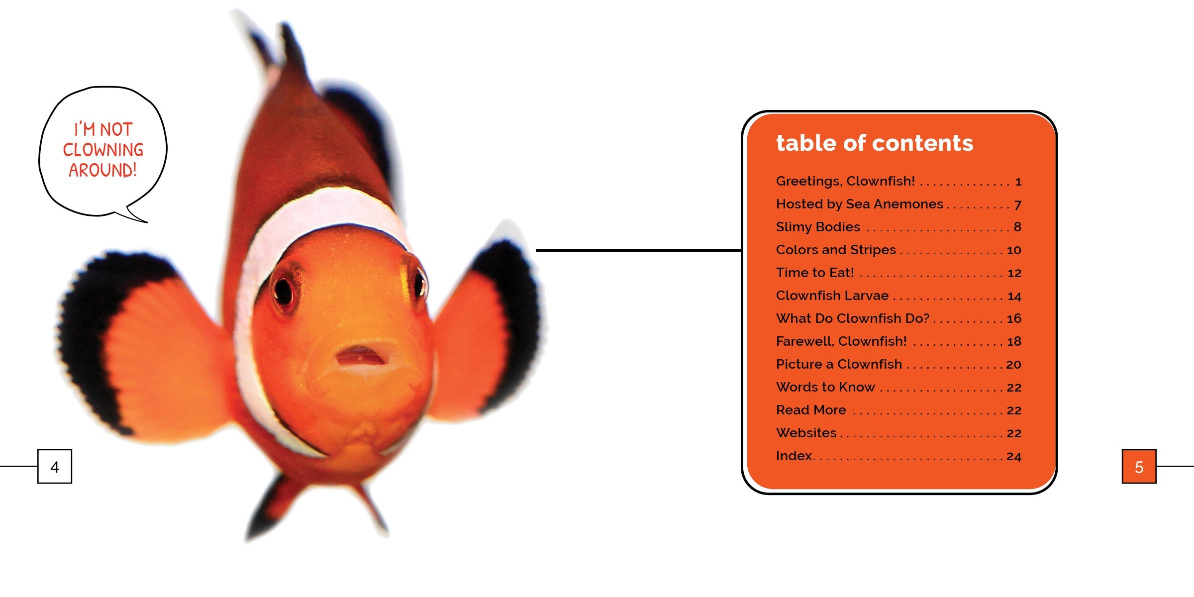 Clownfish Marvels - Vibrant Saltwater Aquarium Fish for Reef Tanks | Perfect for Marine Life Enthusiasts & Home Aquarium Decor
