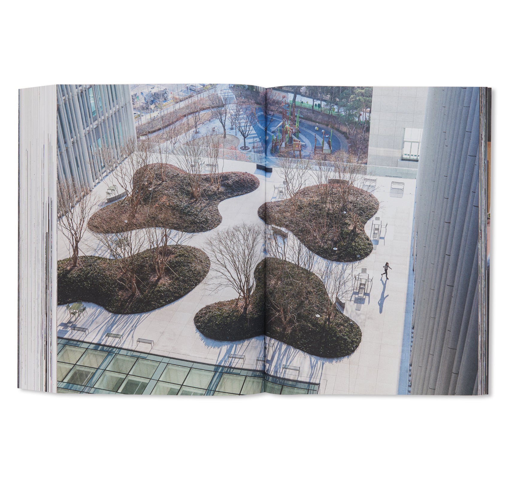 Modern Architecture Book: David Chipperfield's Design for Asia's New Landmark & Amorepacific Headquarters | Office Decor, Architecture Enthusiast Gift, Coffee Table Book