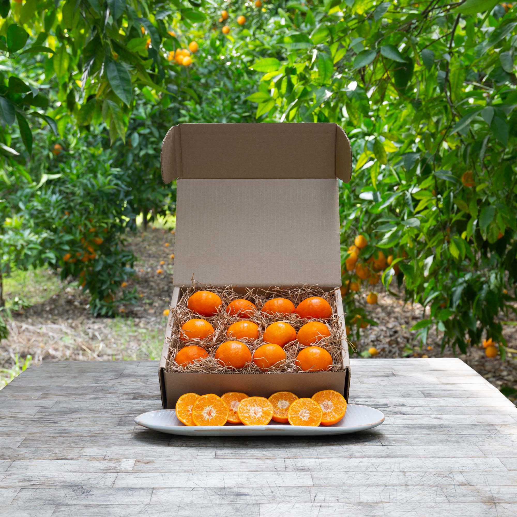 Organic Royal Mandarins - Premium Fresh Citrus Fruit for Healthy Snacking, Juicing & Gift Baskets | USDA Certified | Perfect for Salads, Smoothies & Desserts