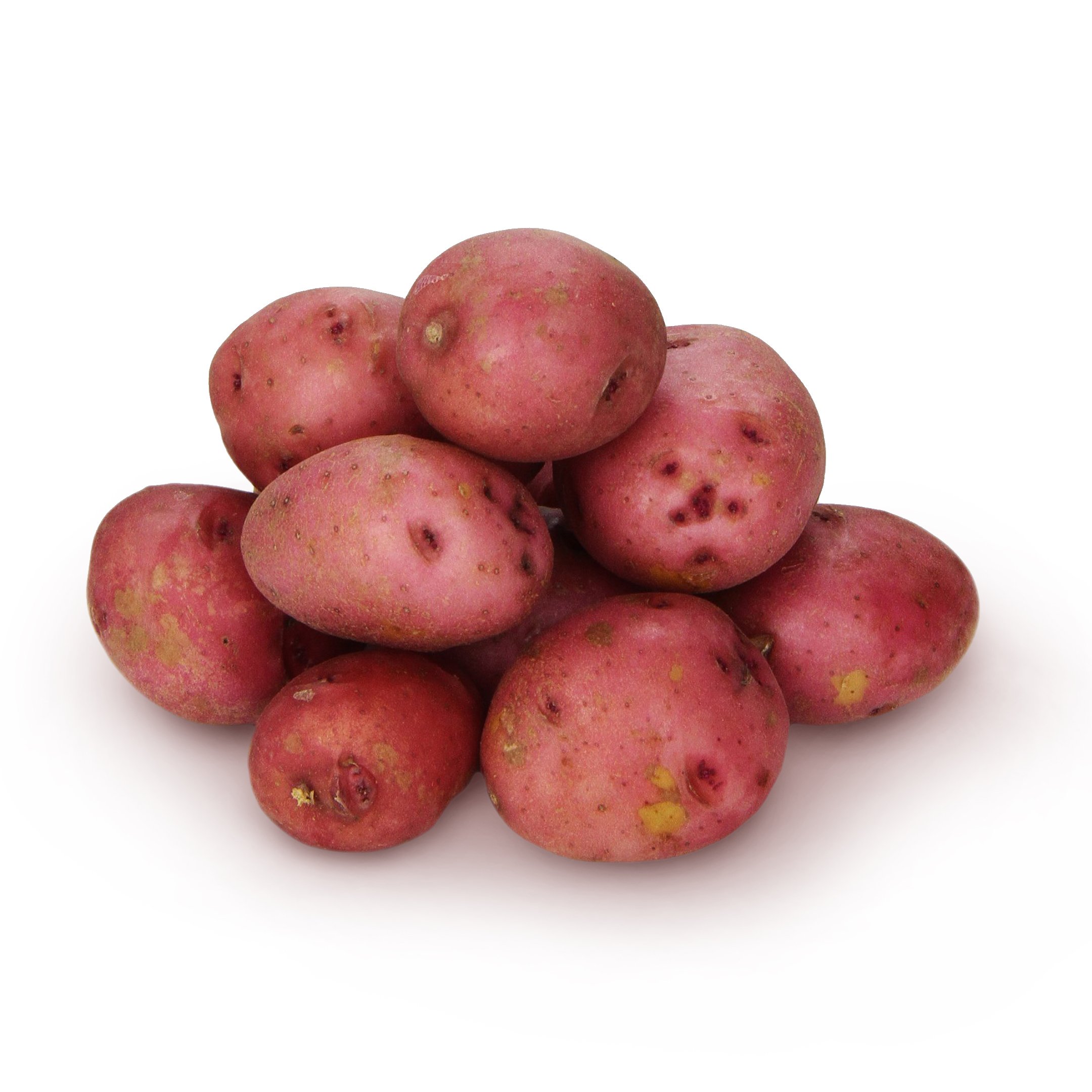 Organic Baby Red Potatoes - 24 oz Bag | Fresh, Non-GMO, Farm-Grown | Perfect for Roasting, Salads & Healthy Family Meals