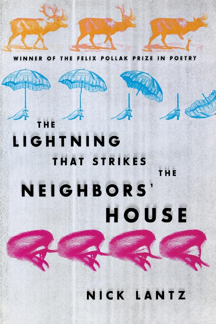 The Lightning That Strikes the Neighbors' House - Wisconsin Poetry Series | Contemporary Poetry Book for Literature Lovers & Book Club Discussions