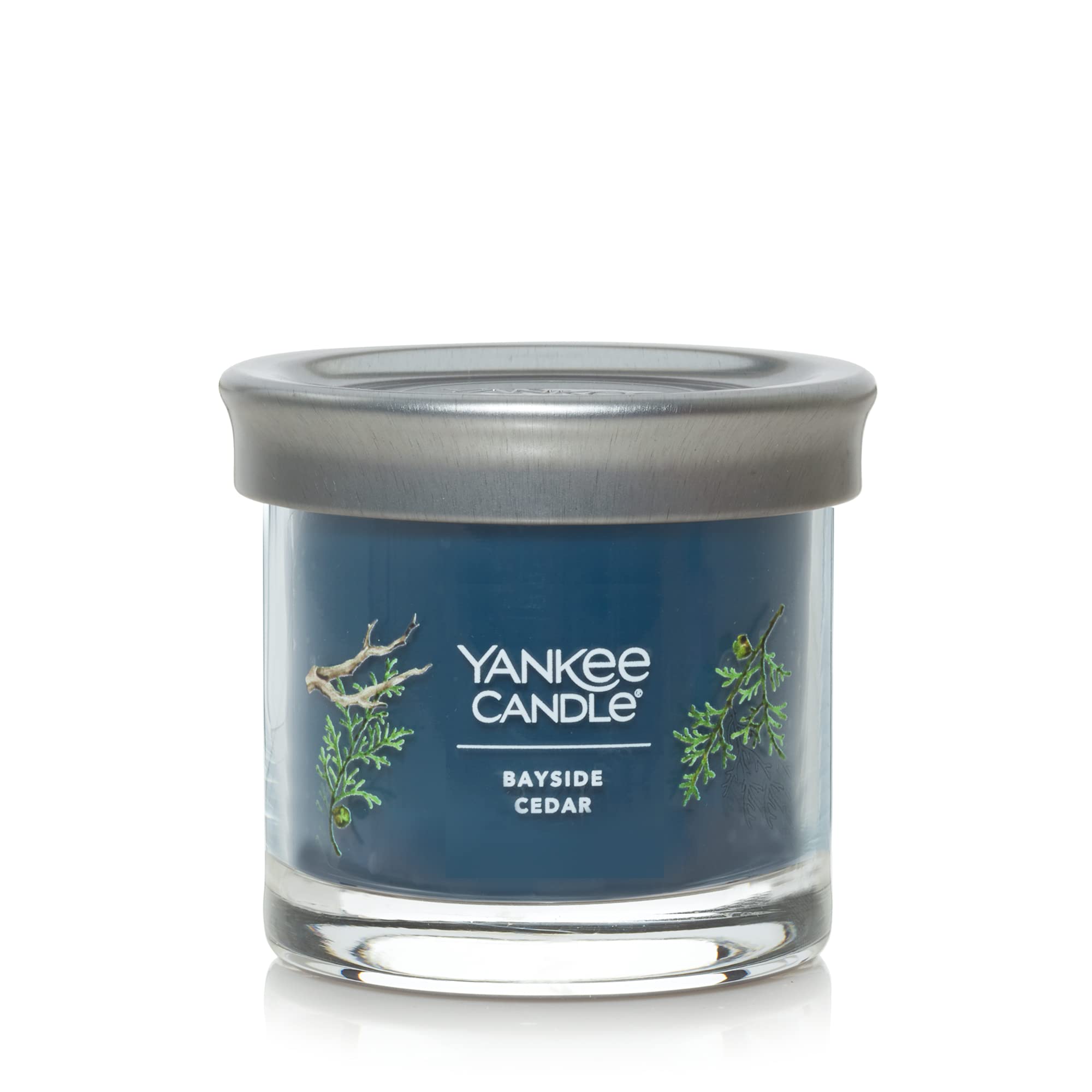 Yankee Candle Bayside Cedar Scented Candle - 4.3oz Small Tumbler with Single Wick, 20+ Hours Burn Time | Home Decor, Relaxation & Aromatherapy for Living Room, Bedroom or Office
