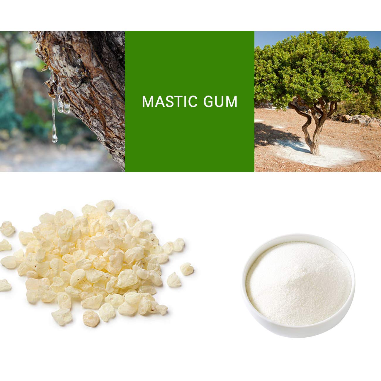 100% Natural Mastic Gum Powder - Premium Medicinal Herbal Supplement (4 oz) for Digestive Health, Oral Care & Immune Support - Perfect for Tea, Smoothies & Natural Remedies