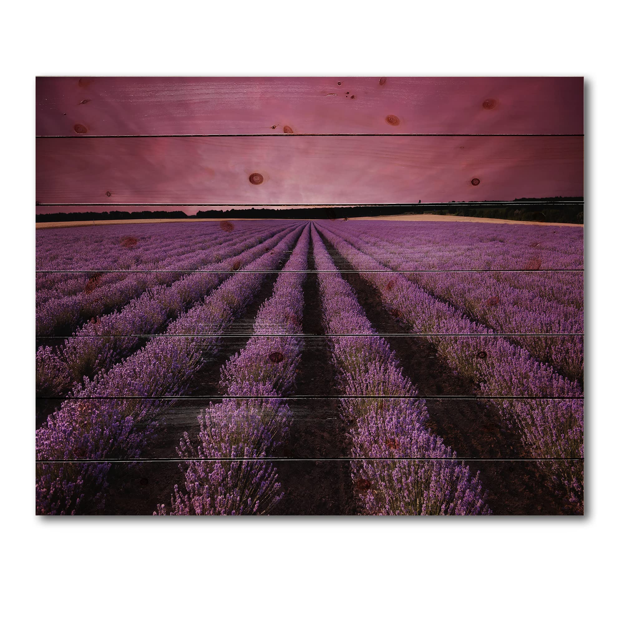Lavender Field Wood Wall Art - Sunrise & Clouds Landscape Decor for Farmhouse