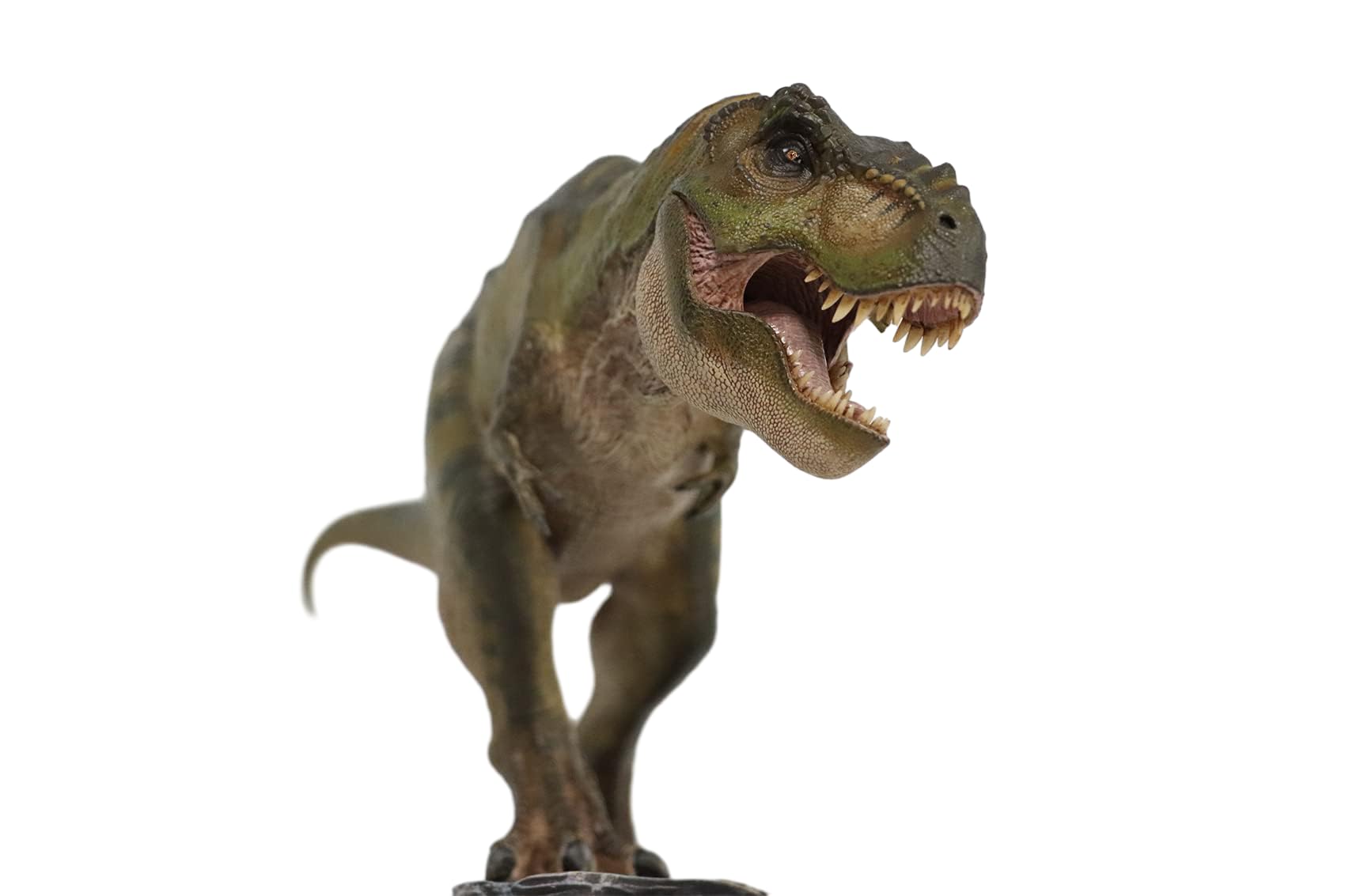 Nanmu 1:35 Scale Tyrannosaurus Rex Dinosaur Model - Highly Detailed T-Rex PVC Collector Toy, Realistic Dinosaur Figure with Display Base, Perfect Gift for Adult Collectors | Home Decor, Office Display, Dinosaur Enthusiast Collection