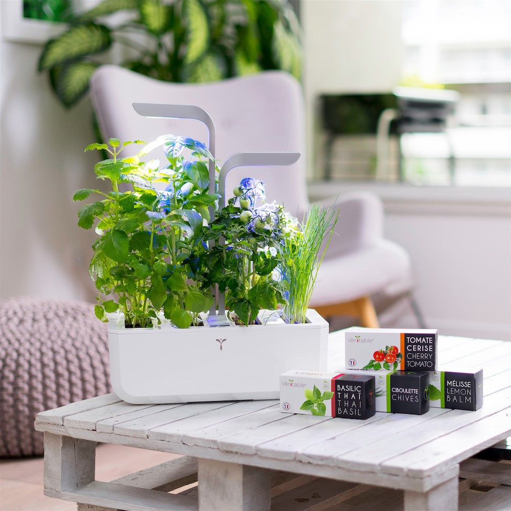 VERITABLE Smart Edition White - Indoor Herb Garden Kit with 4 Plants | Hydroponic Growing System for Fresh Herbs | Perfect for Kitchen, Office, or Home Decor