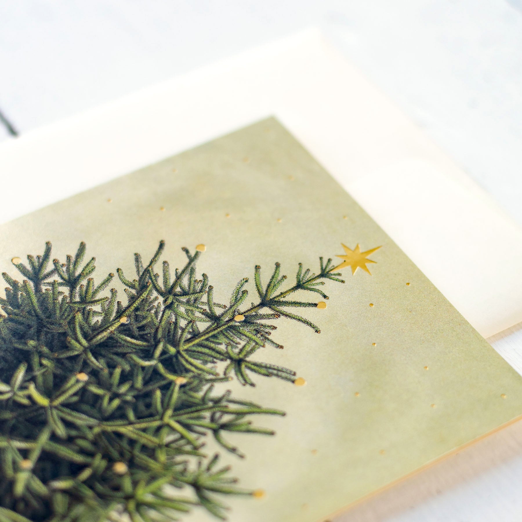 Christmas Tree Greeting Card - Holiday Season Greetings for Family & Friends - Perfect for Christmas Decorations & Gifting