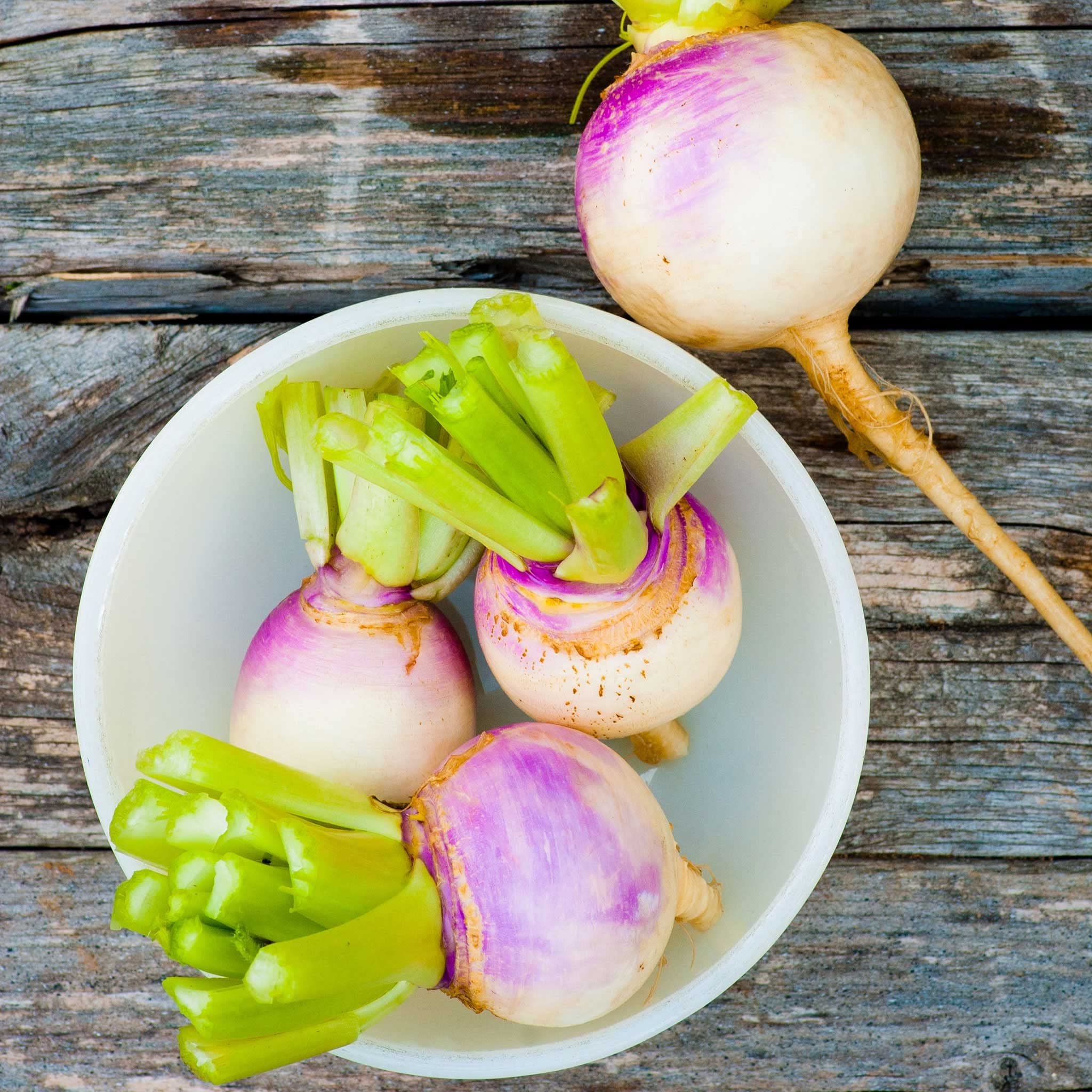 Eden Brothers Purple Top White Globe Turnip Seeds - 1 lb Non-GMO Vegetable Seeds for Planting | Low-Maintenance, Fast-Growing, Warm Season Planting | Perfect for Home Gardens, Urban Farming & Fresh Salads | USDA Zones 2-9