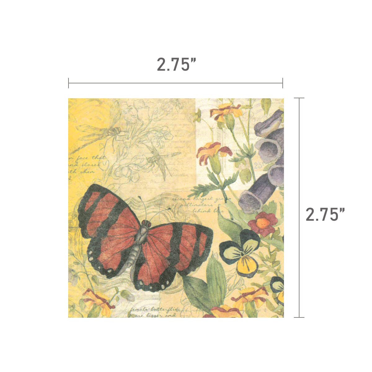 Allydrew Decorative Scrapbook Paper Set - 2 Pack Butterfly & Floral Design for Journaling, Scrapbooking, Card Making, DIY Crafts - Perfect for Memory Books, Gift Wrapping & Home Decor Projects
